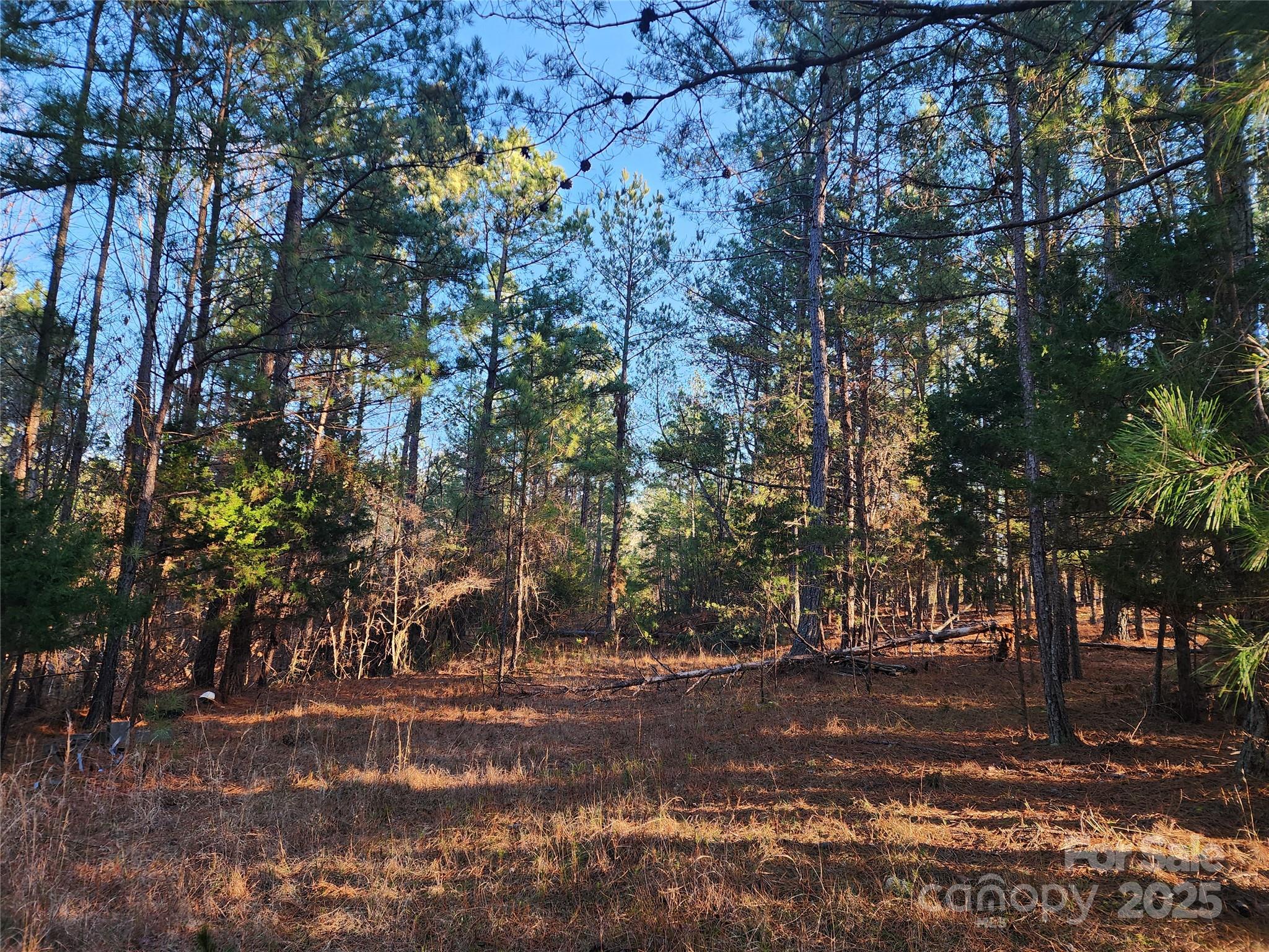 1342 Mcknight Road Property Photo 25