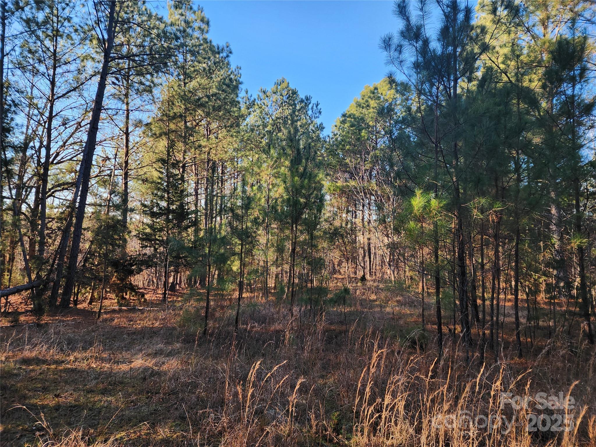1342 Mcknight Road Property Photo 26