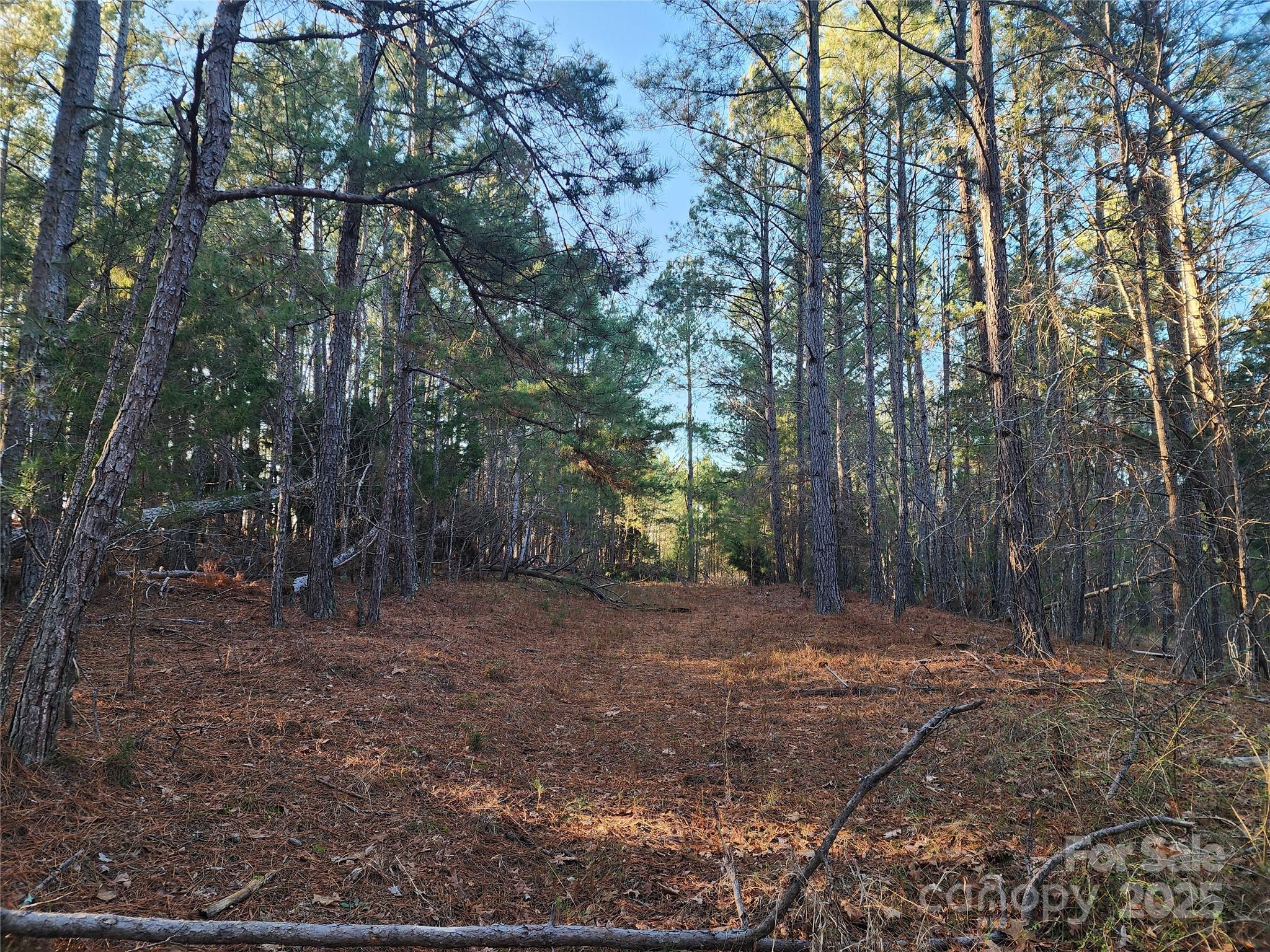 1342 Mcknight Road Property Photo 27