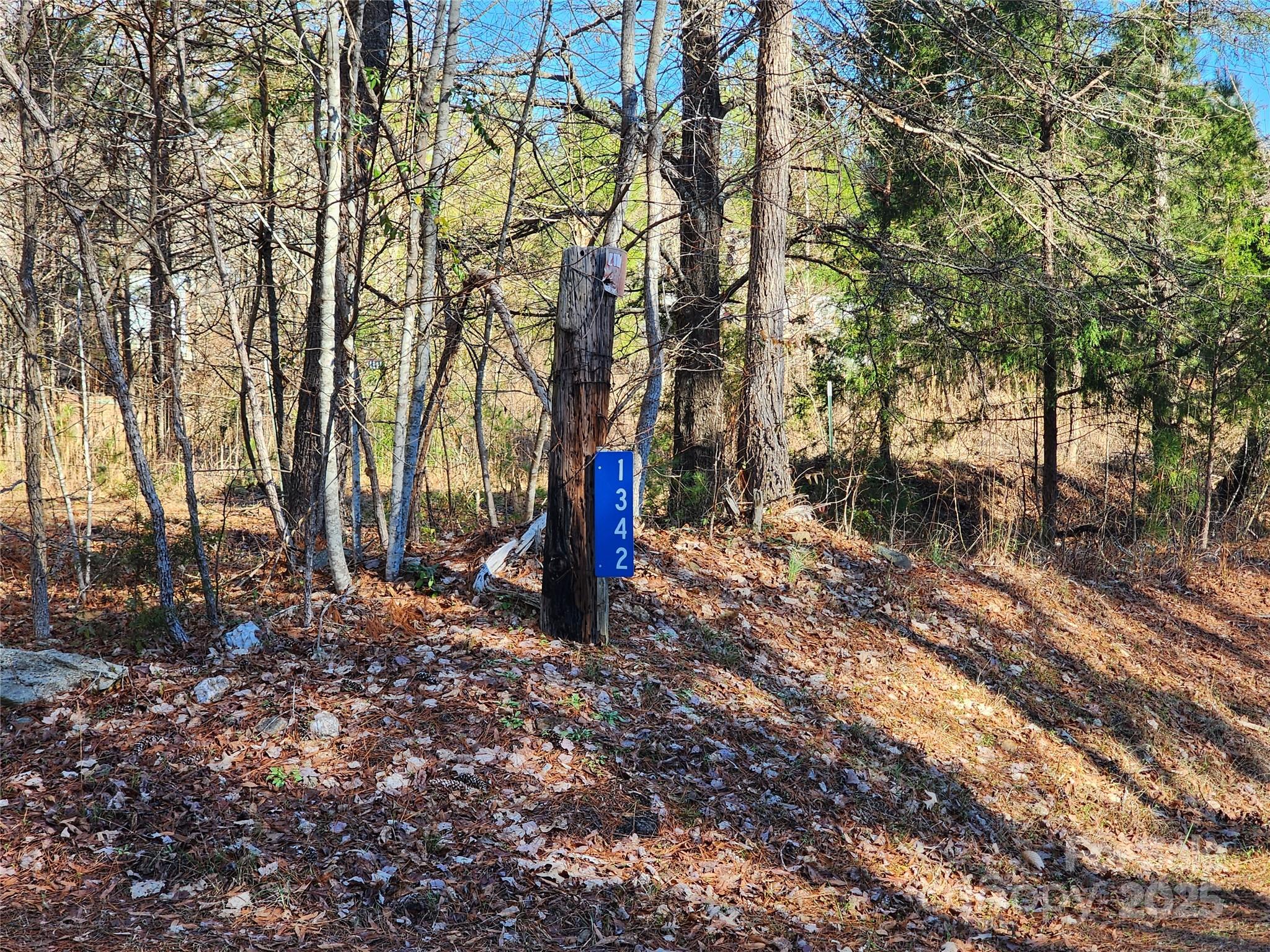 1342 Mcknight Road Property Photo 29