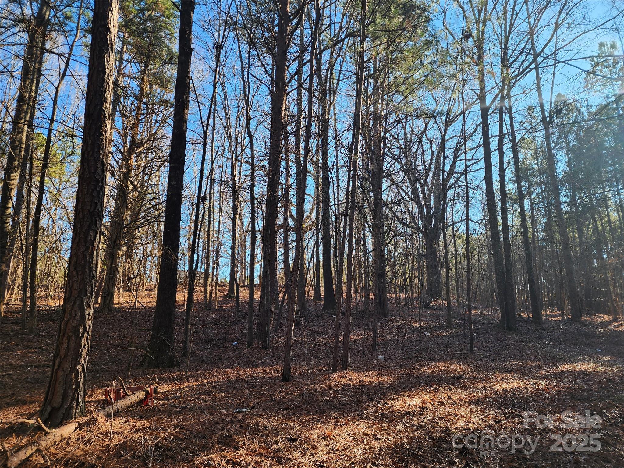 1342 Mcknight Road Property Photo 30