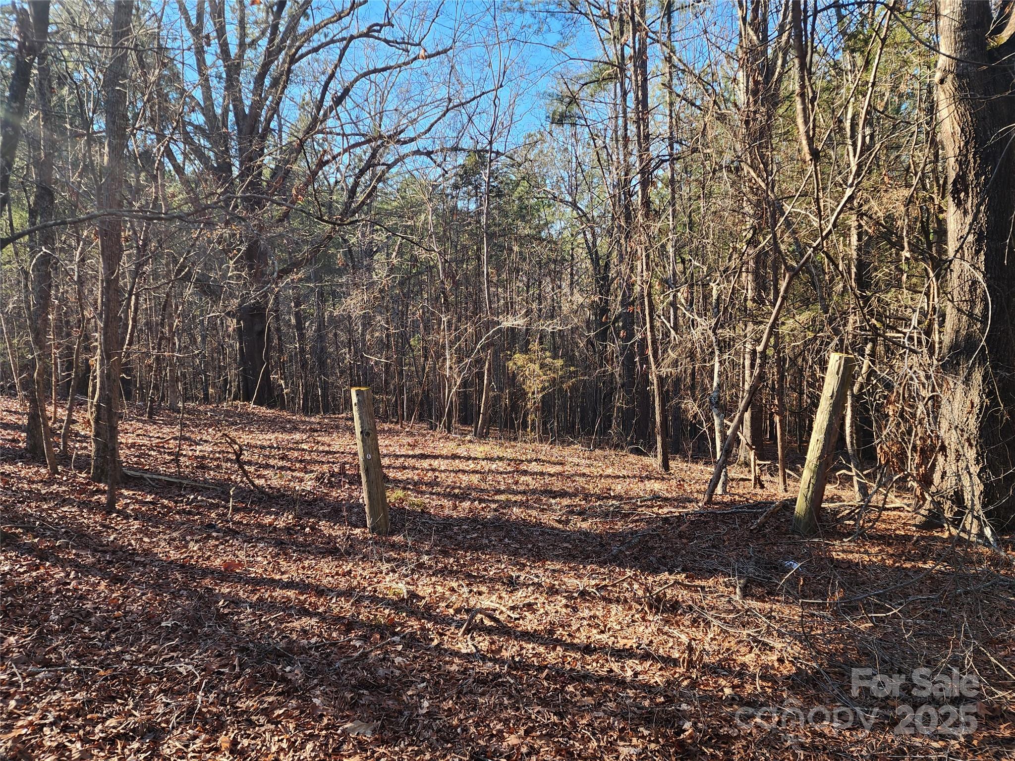 1342 Mcknight Road Property Photo 32