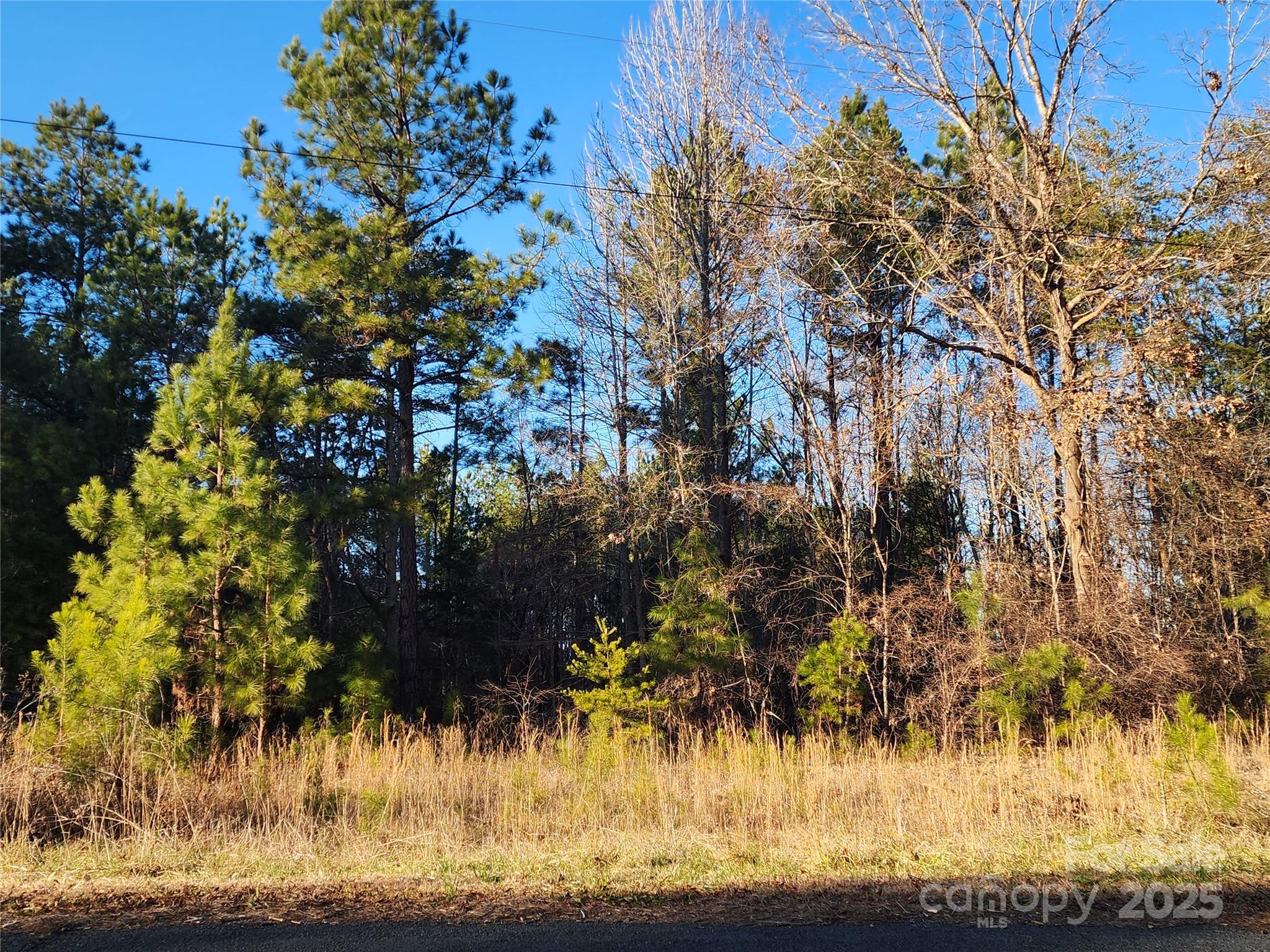 1342 Mcknight Road Property Photo 34