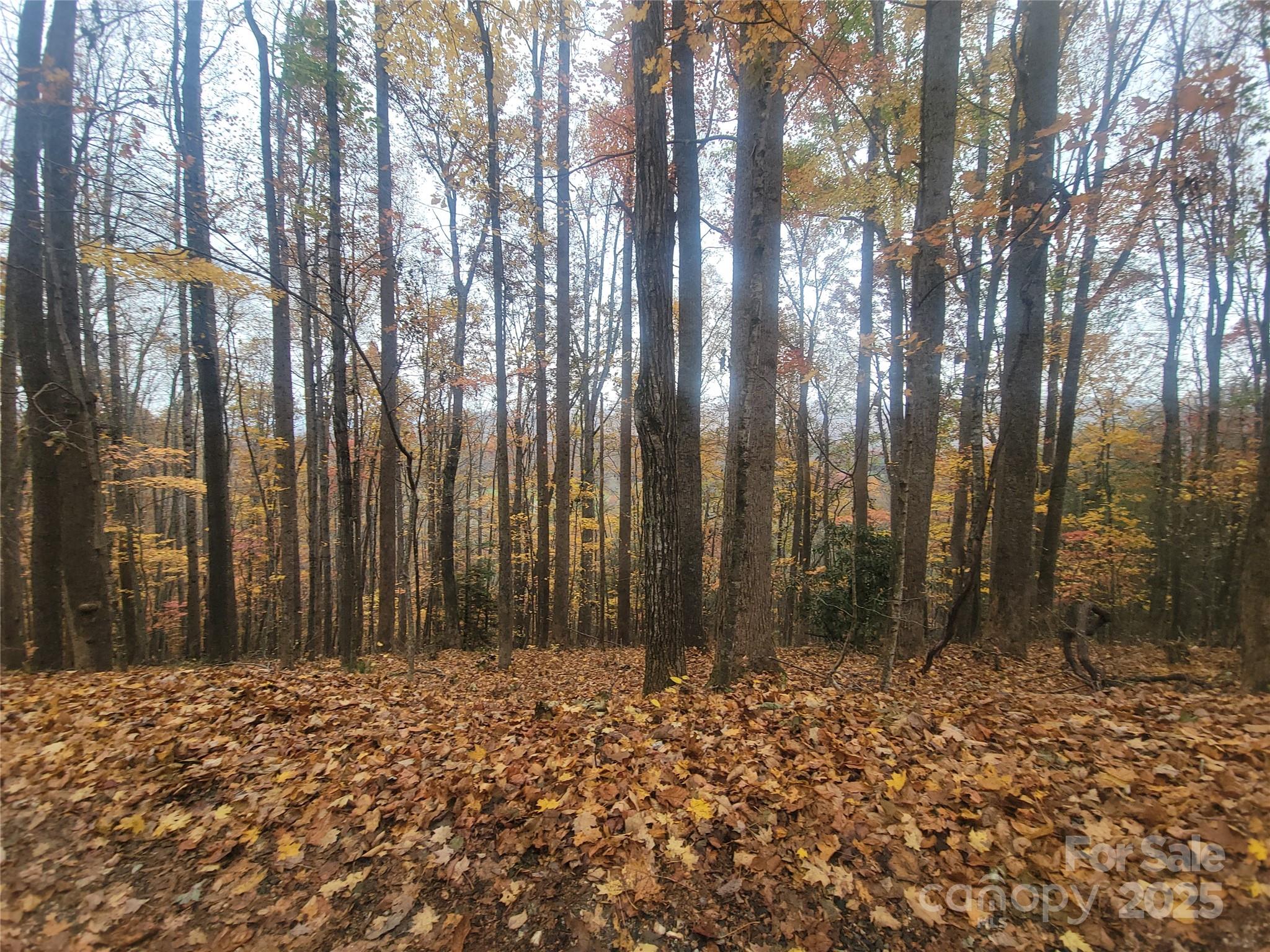 999 Persimmons Lane Property Photo 2