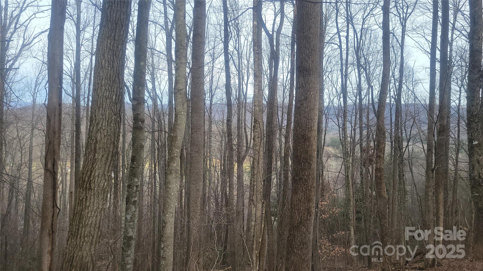 999 Persimmons Lane Property Photo 3