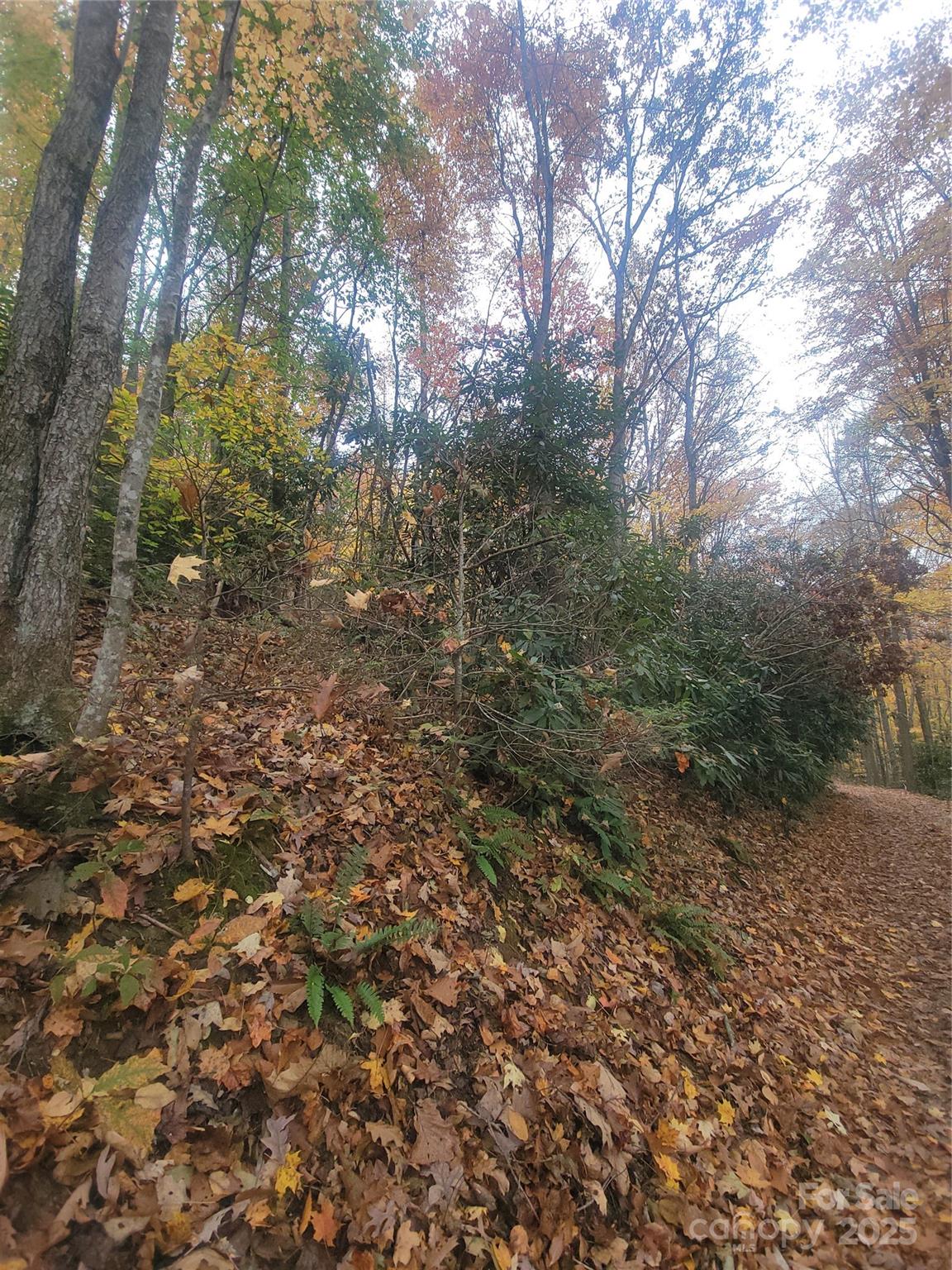 999 Persimmons Lane Property Photo 12