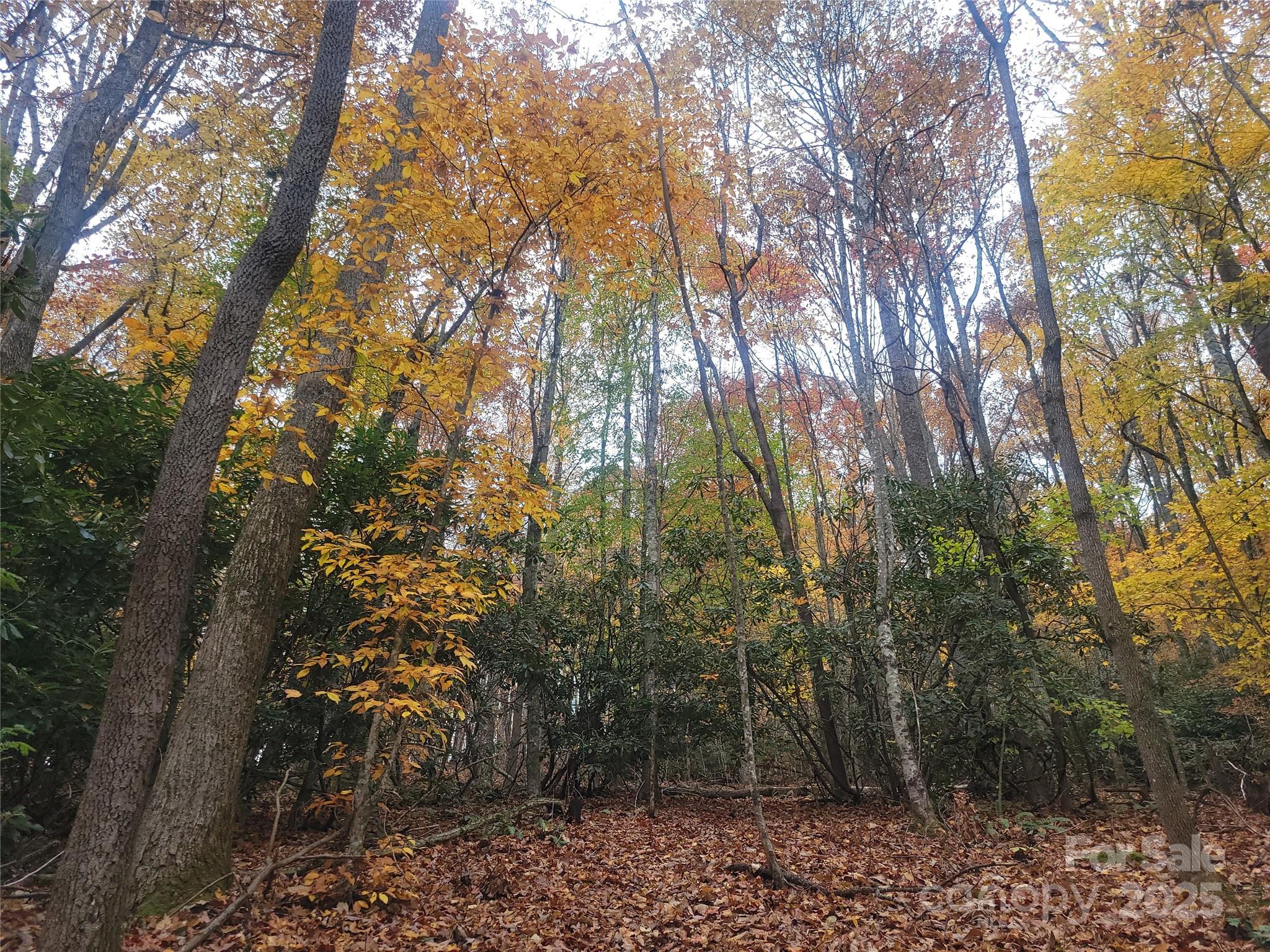 999 Persimmons Lane Property Photo 14