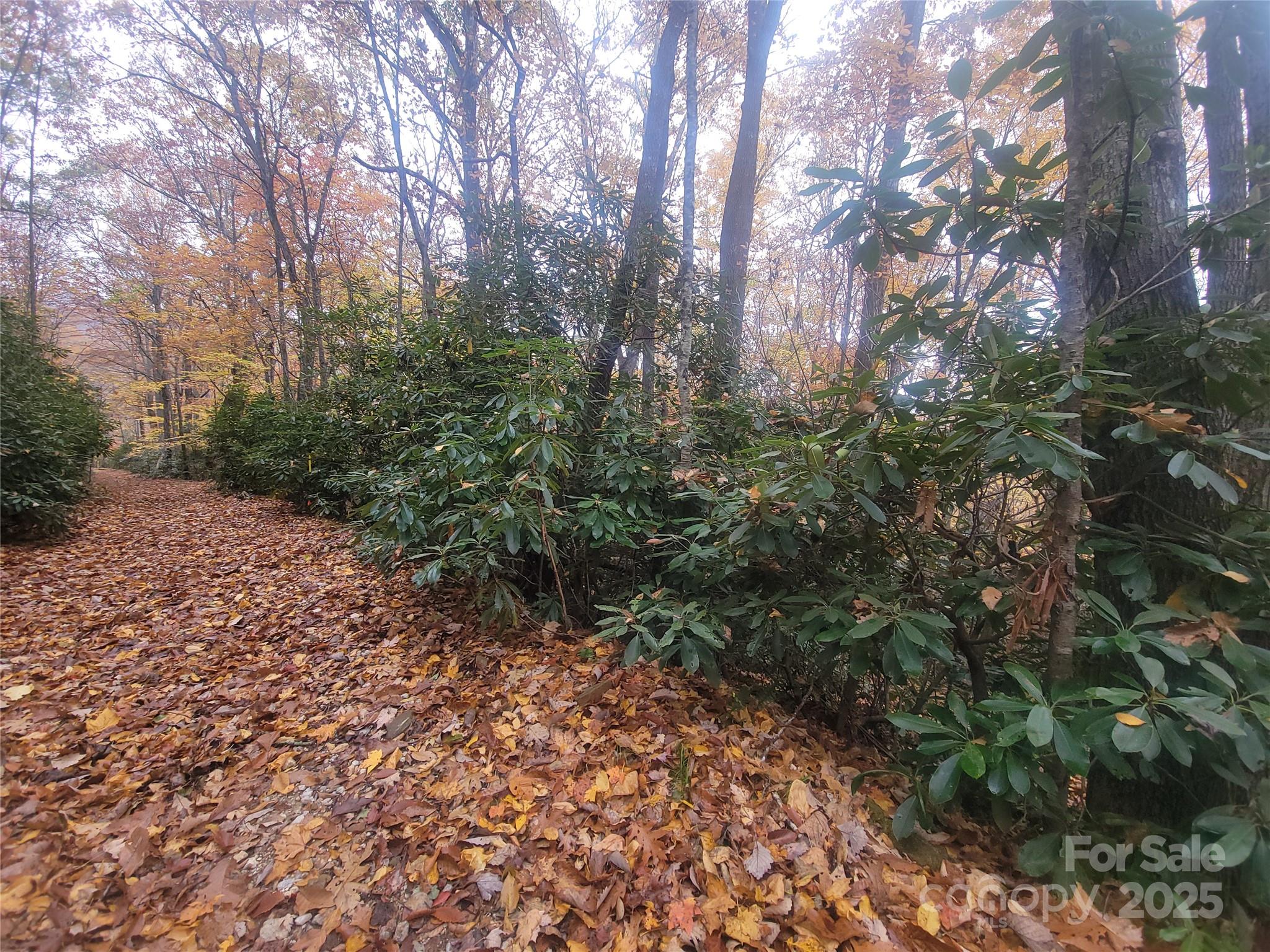 999 Persimmons Lane Property Photo 30