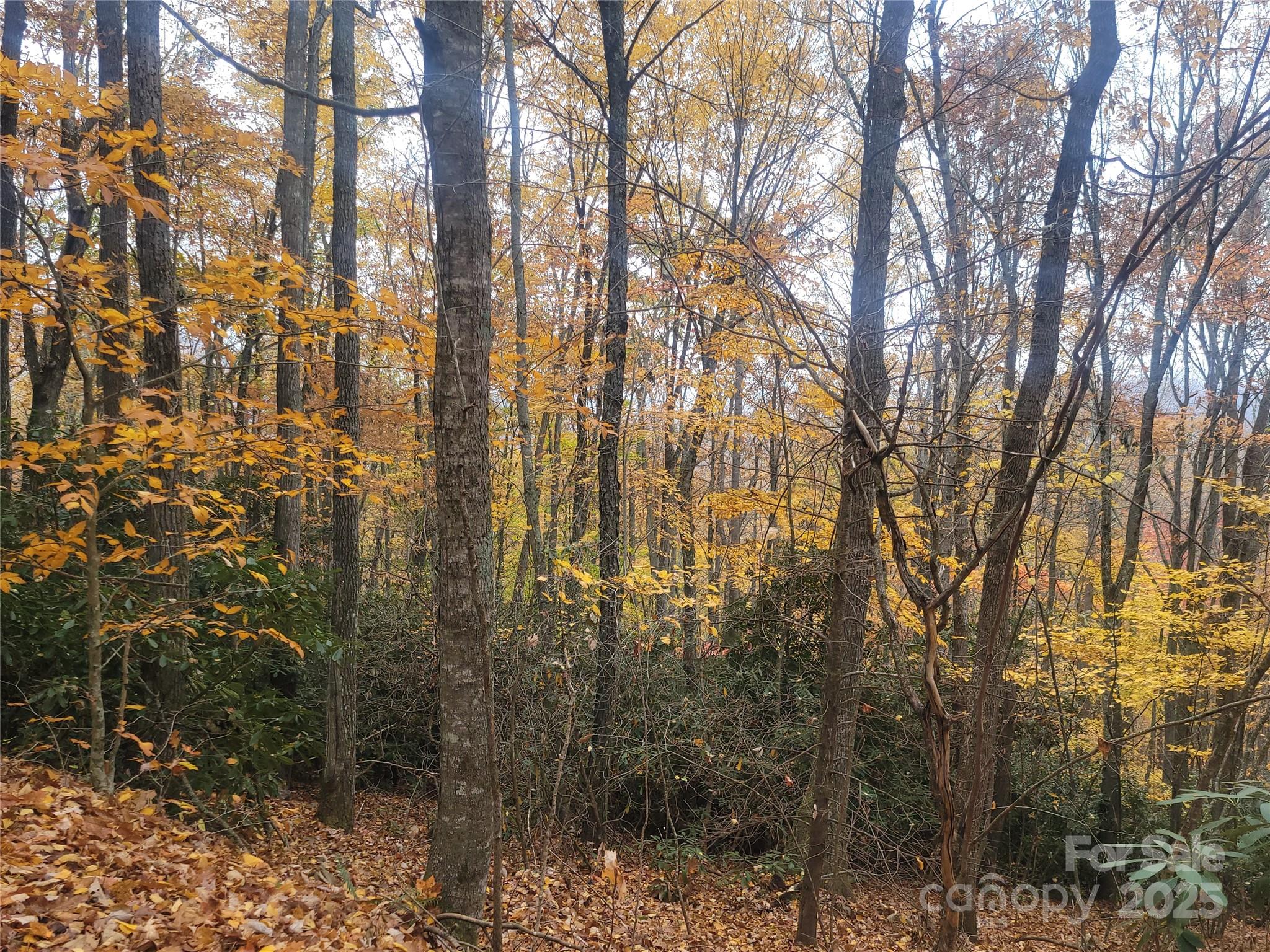 999 Persimmons Lane Property Photo 32