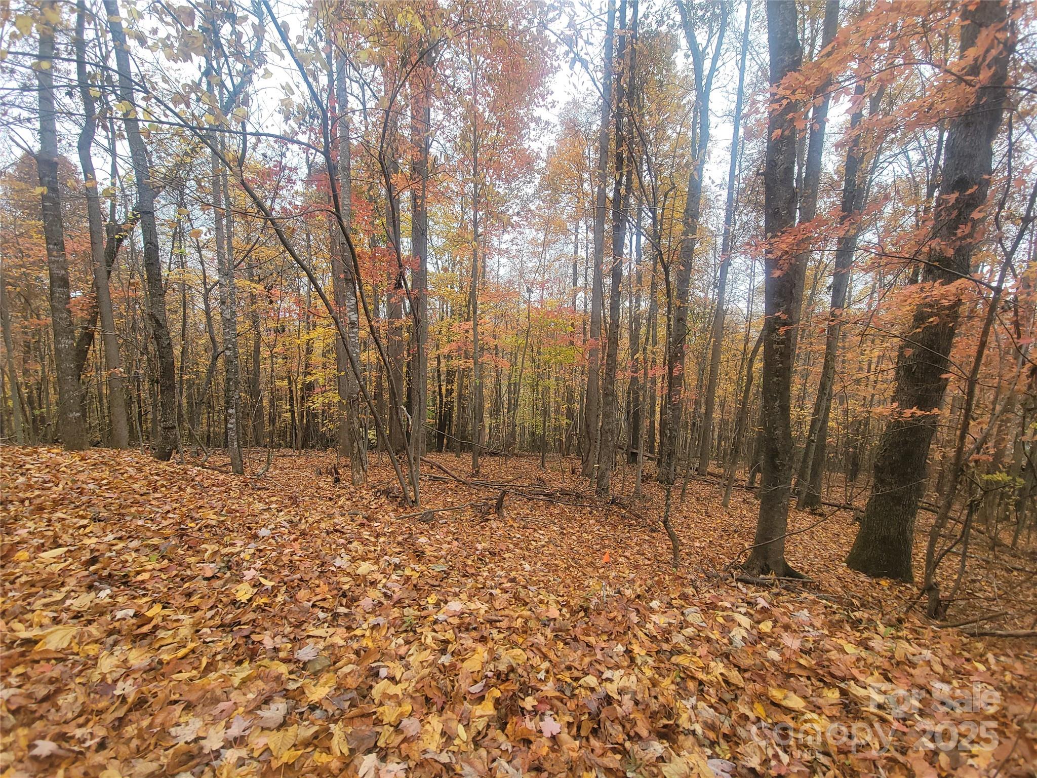 999 Persimmons Lane Property Photo 33