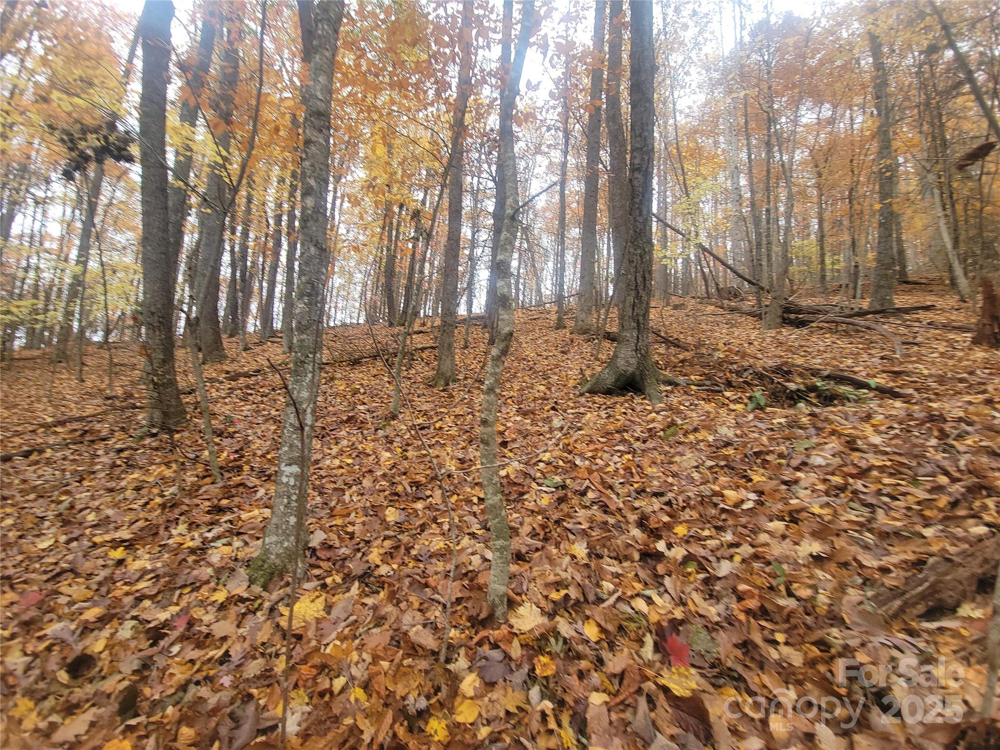 999 Persimmons Lane Property Photo 35