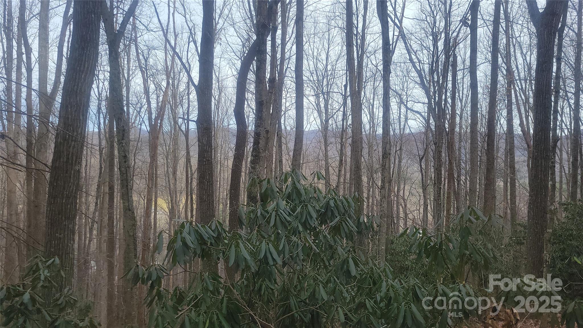 999 Persimmons Lane Property Photo 43