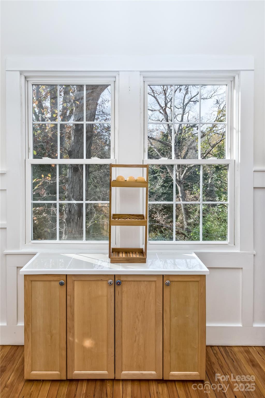 13 Parker Road Property Photo 17