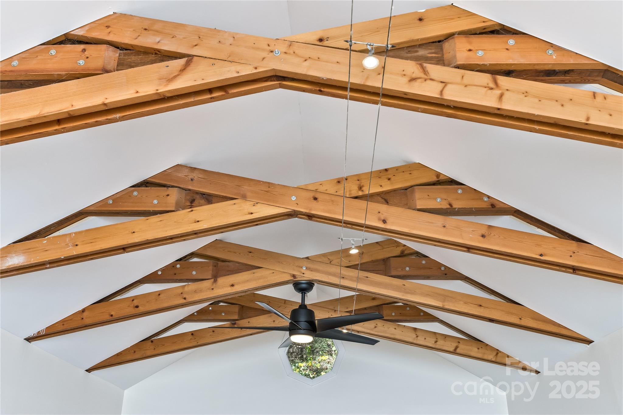 13 Parker Road Property Photo 23