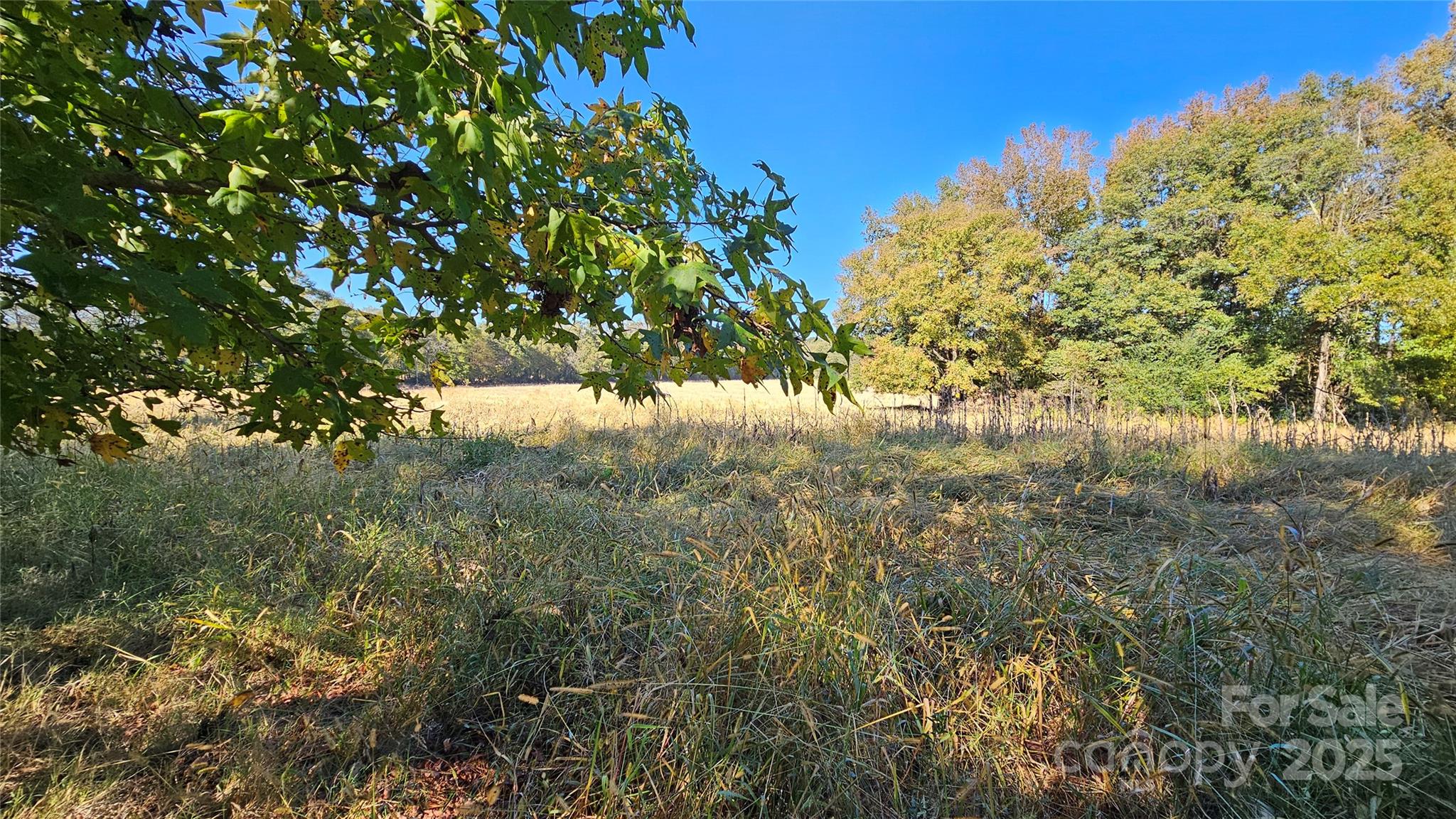 10130 Reed Mine Road Property Photo 1