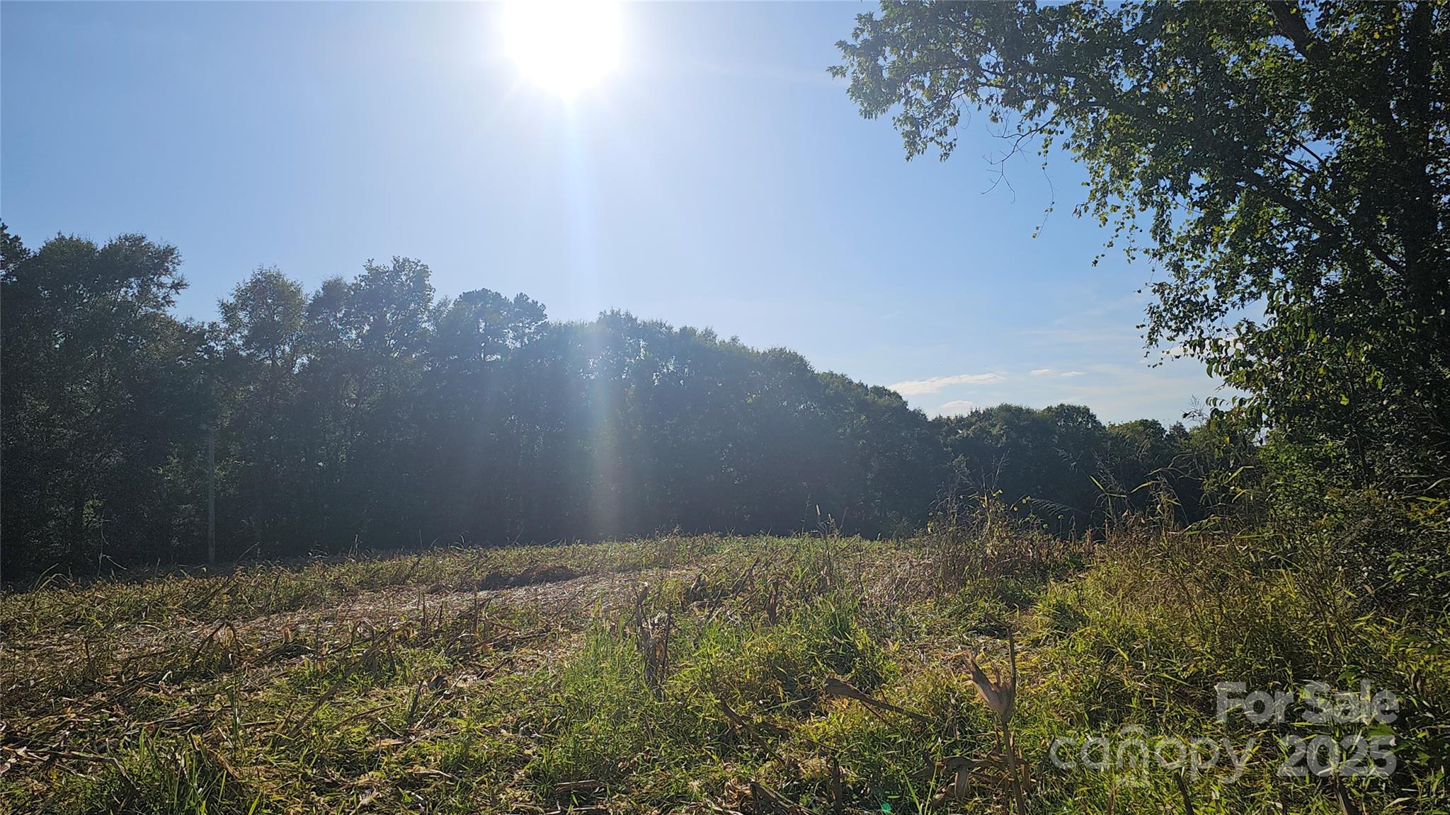 10130 Reed Mine Road Property Photo 2