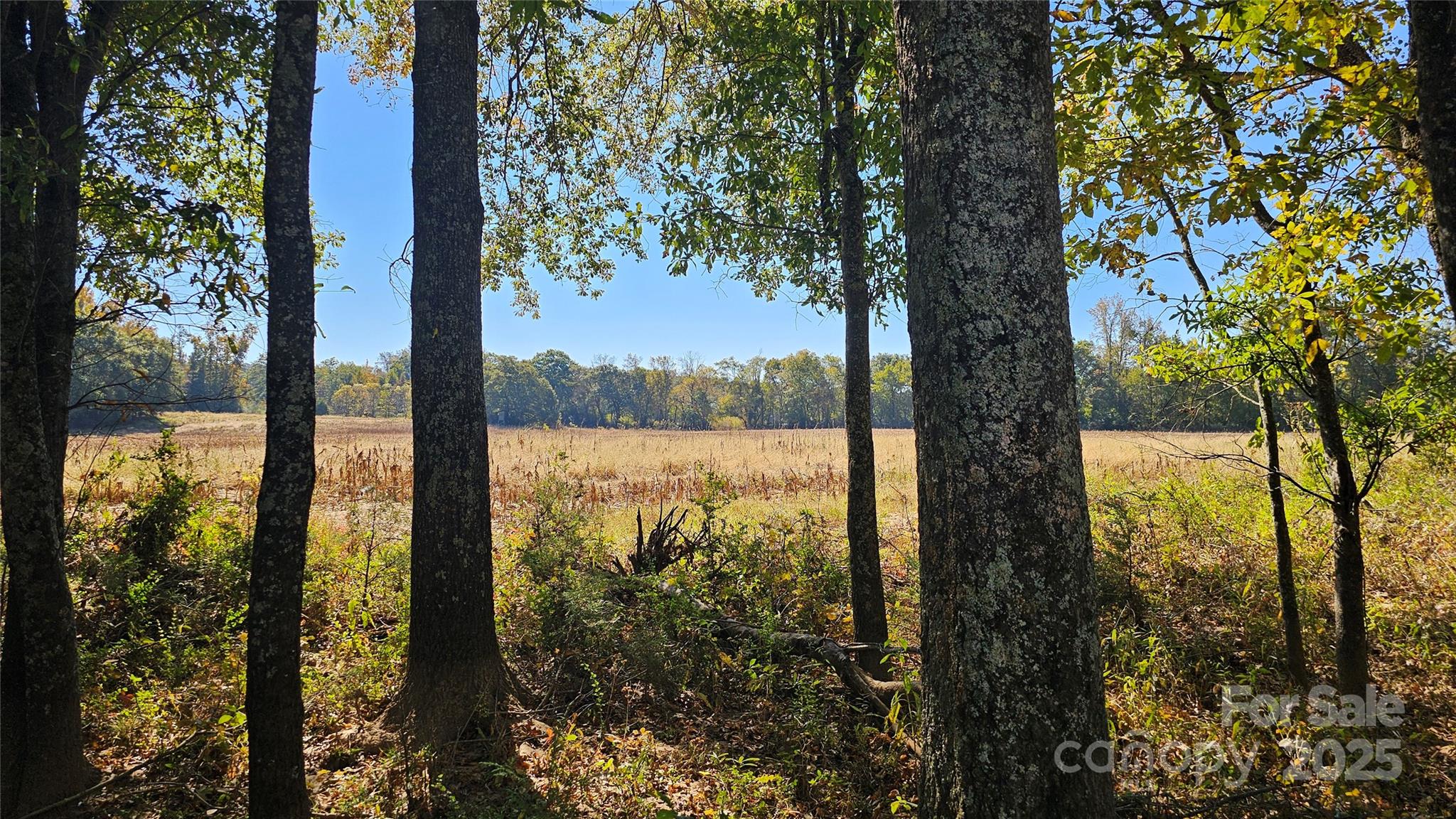 10130 Reed Mine Road Property Photo 3