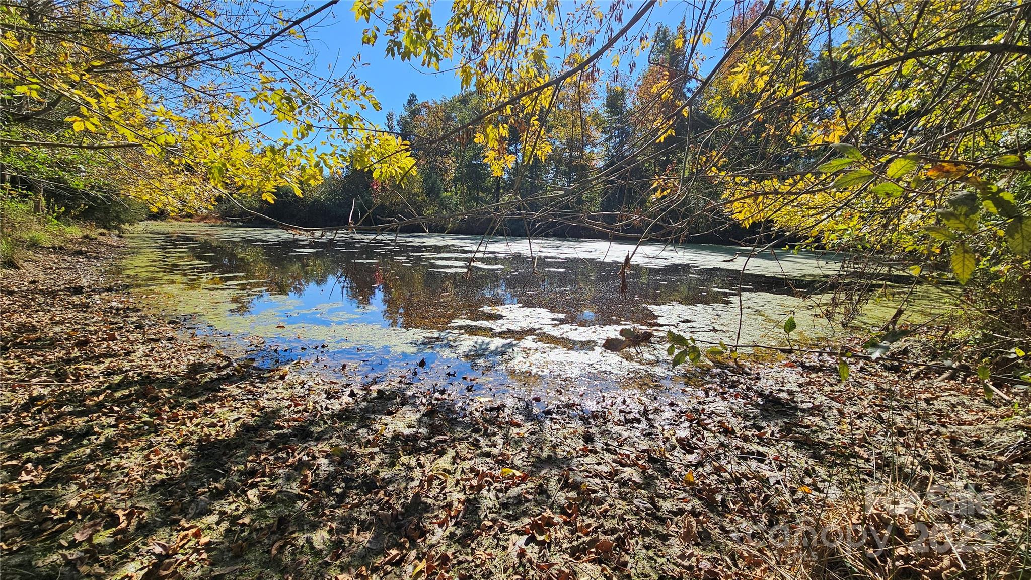 10130 Reed Mine Road Property Photo 4