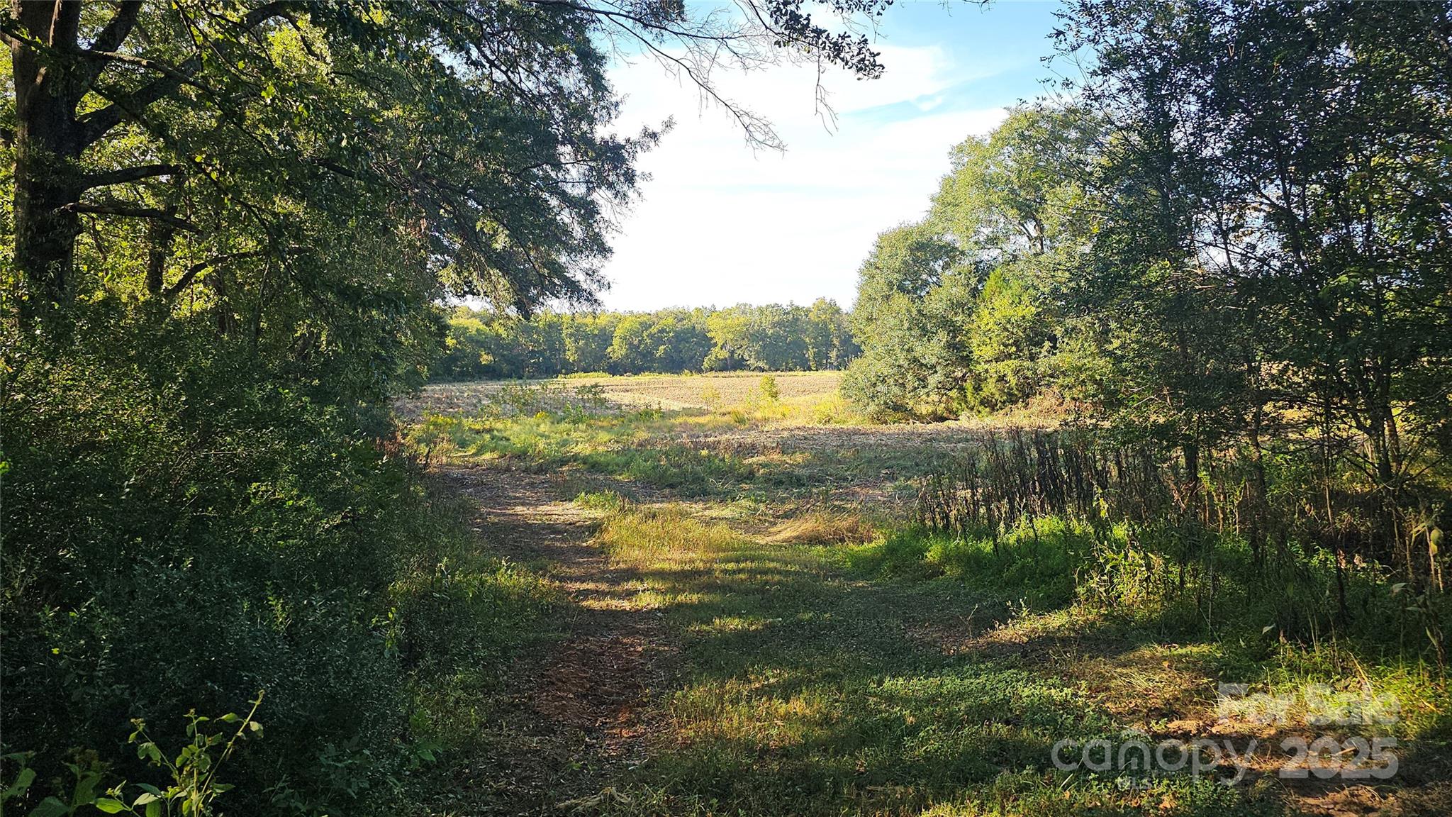 10130 Reed Mine Road Property Photo 5