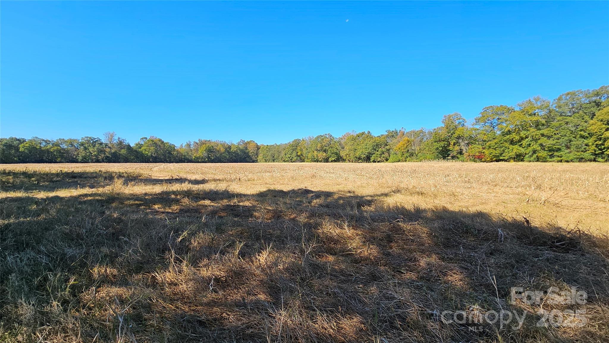 10130 Reed Mine Road Property Photo 6