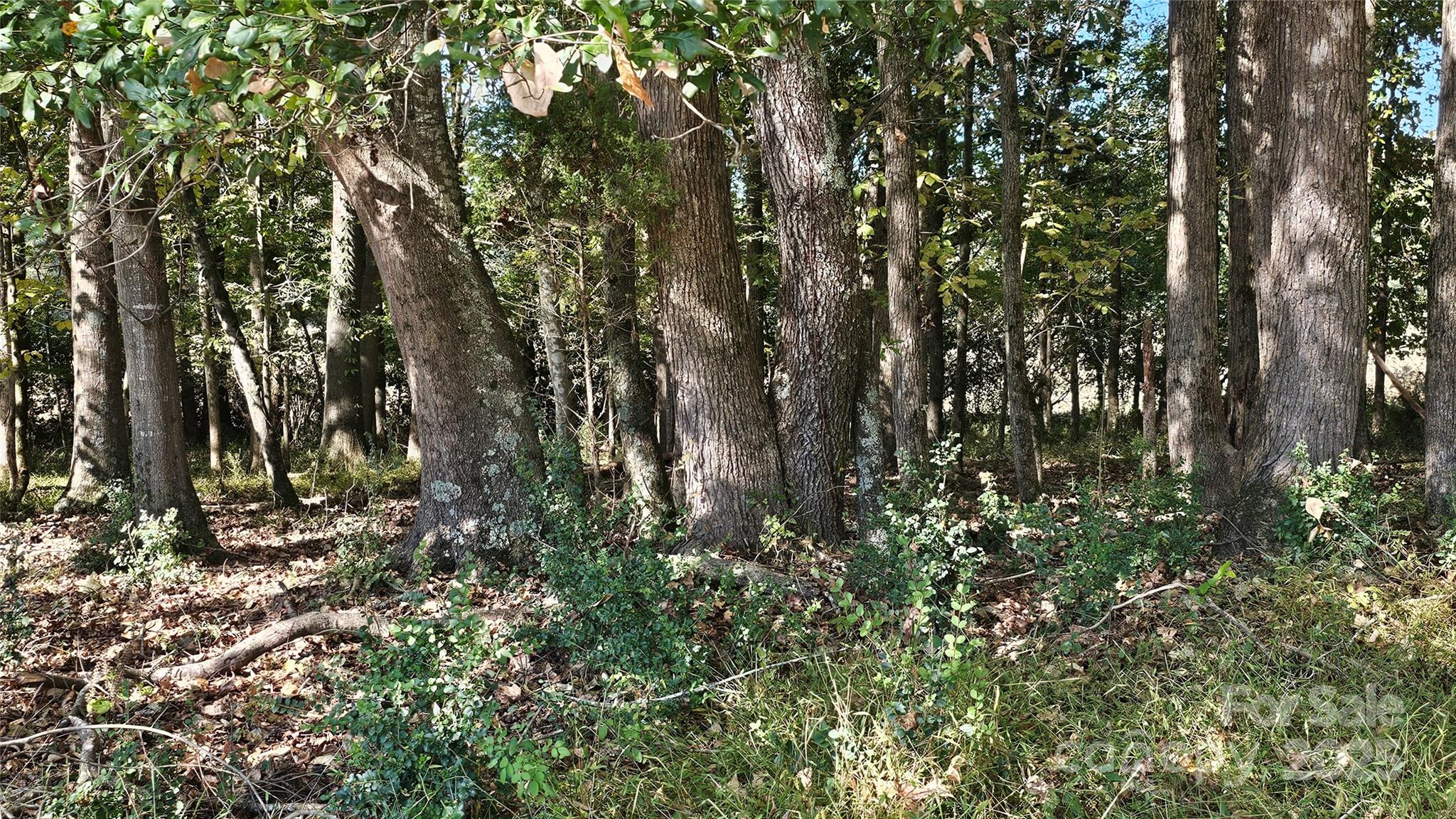 10130 Reed Mine Road Property Photo 7