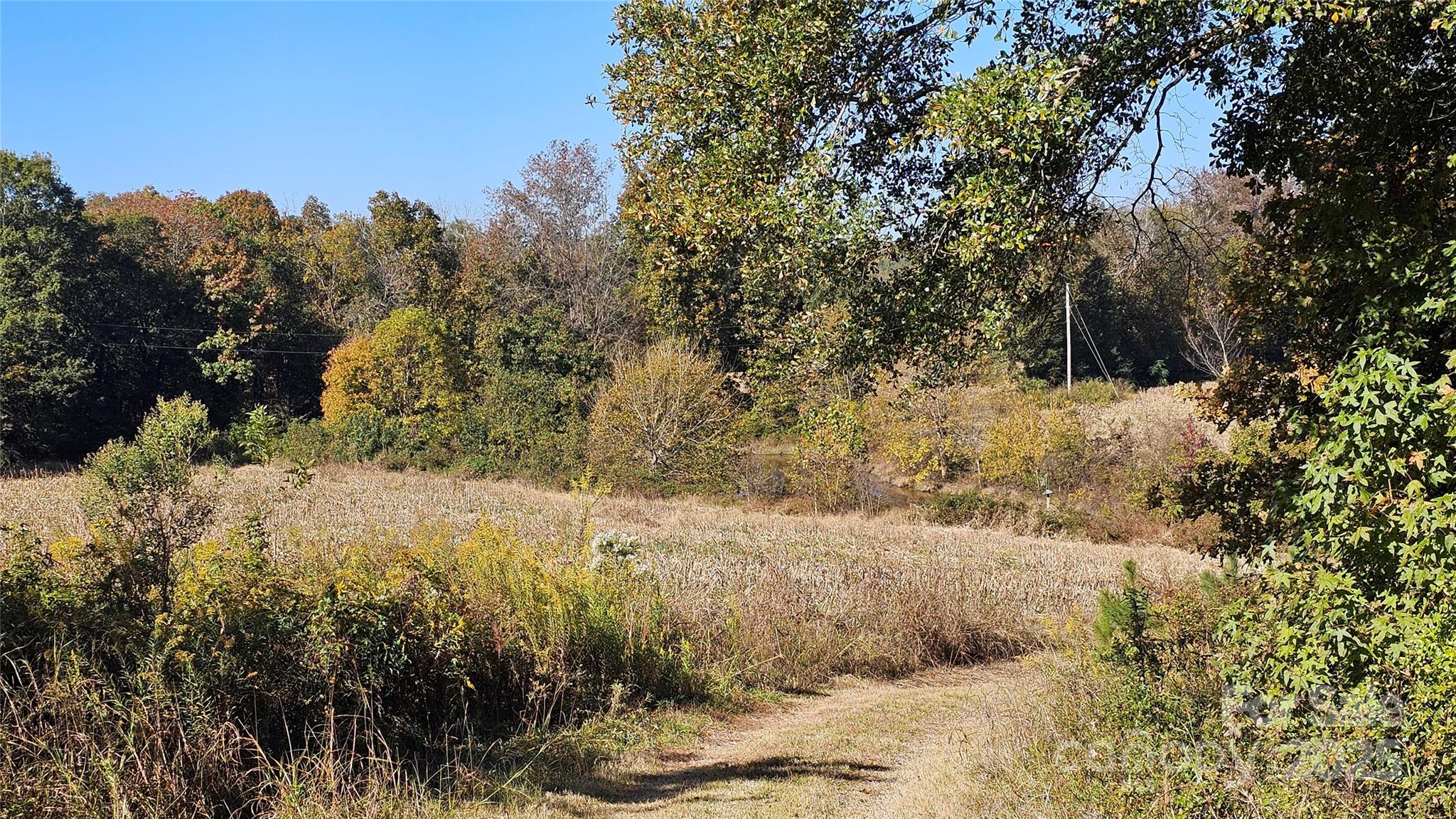 10130 Reed Mine Road Property Photo 8