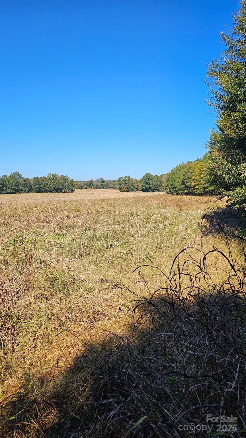 10130 Reed Mine Road Property Photo 9