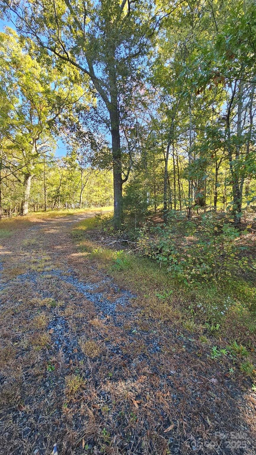 10130 Reed Mine Road Property Photo 10