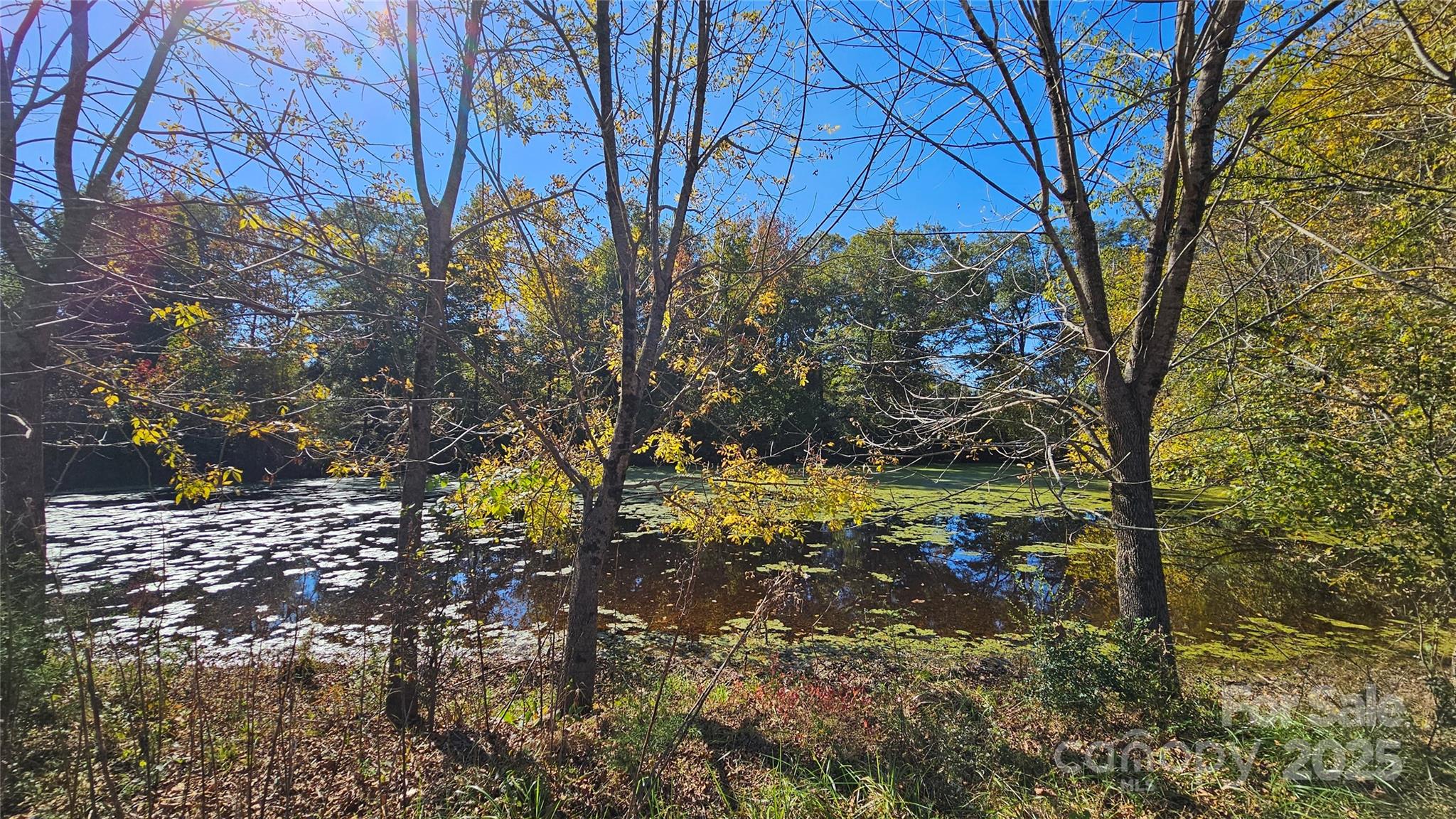 10130 Reed Mine Road Property Photo 11
