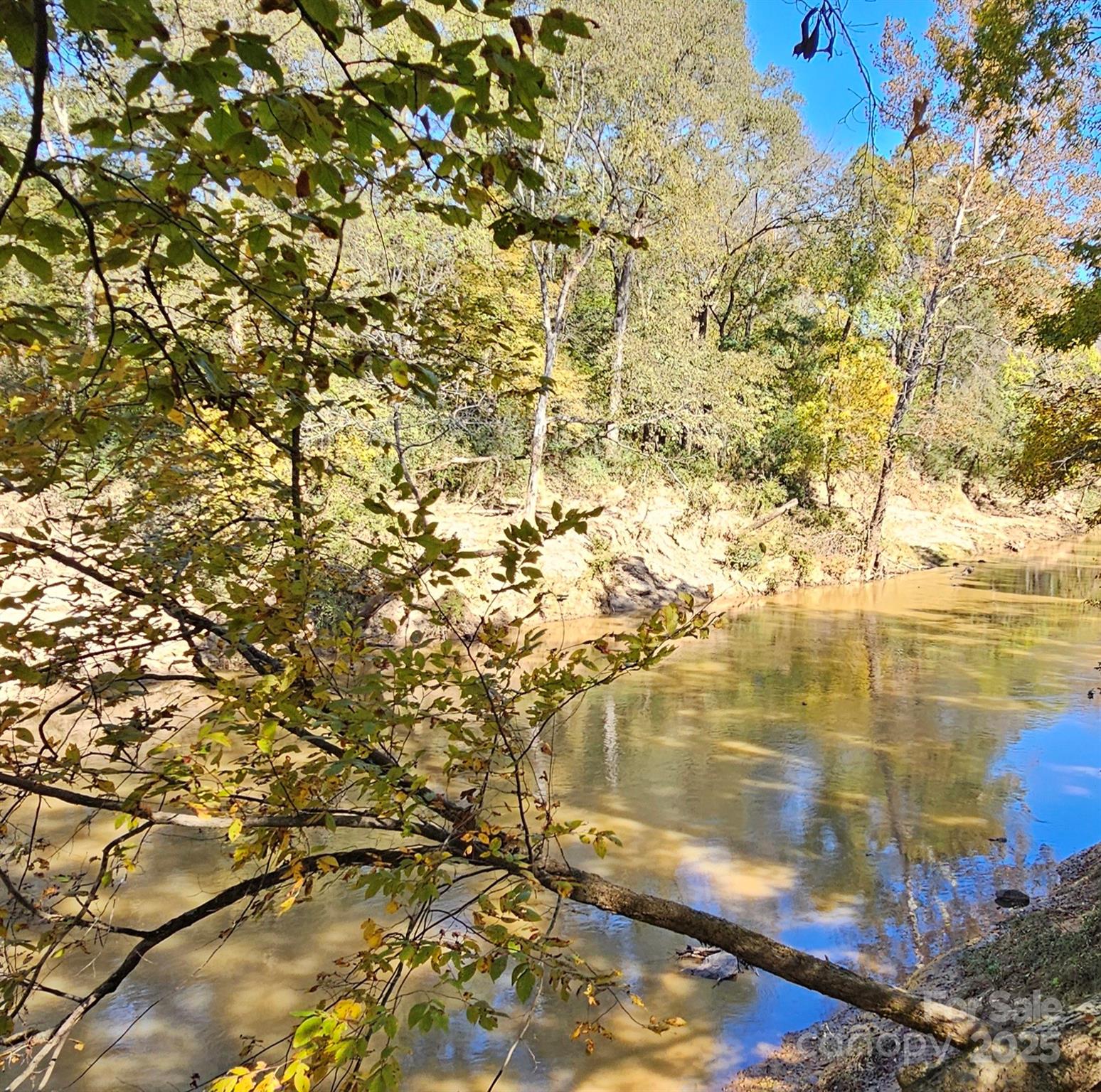 10130 Reed Mine Road Property Photo 12