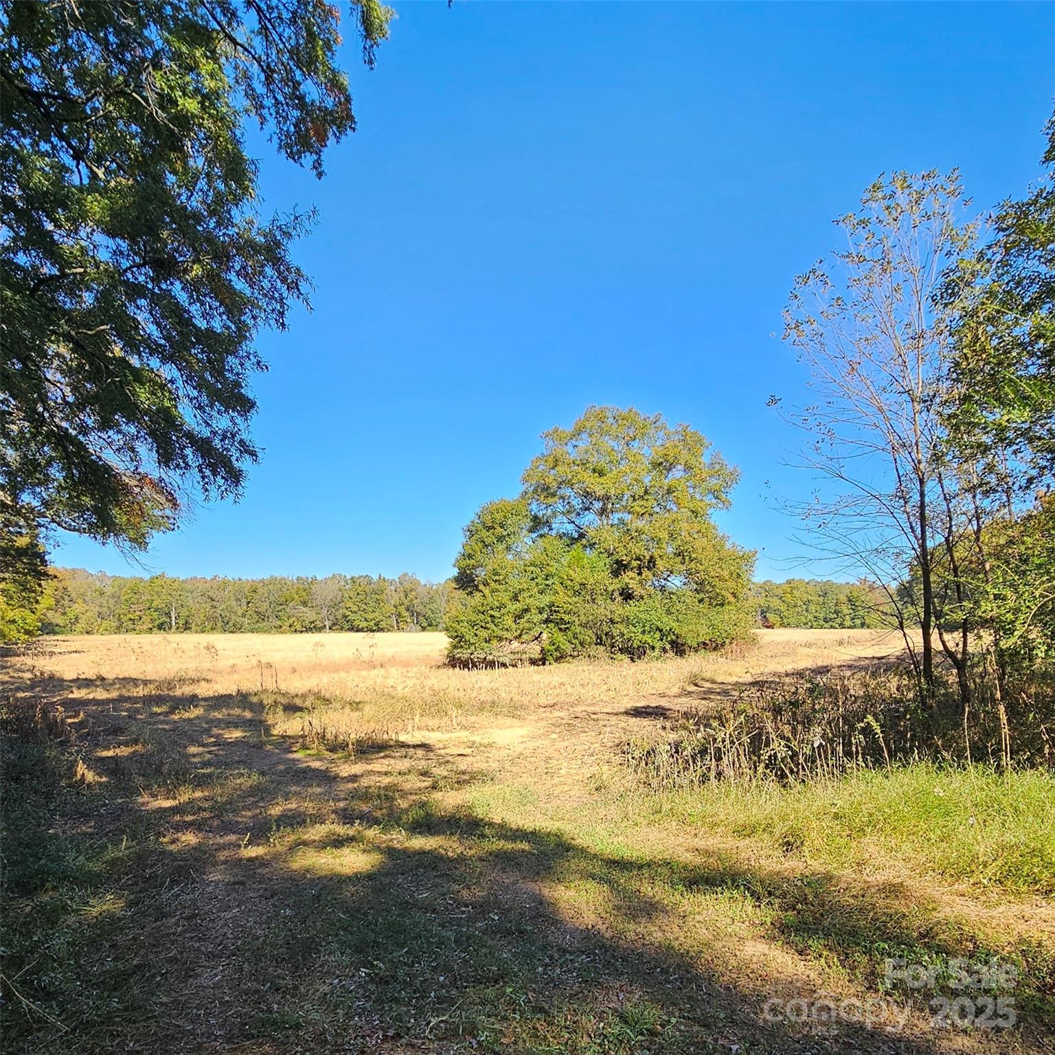 10130 Reed Mine Road Property Photo 13