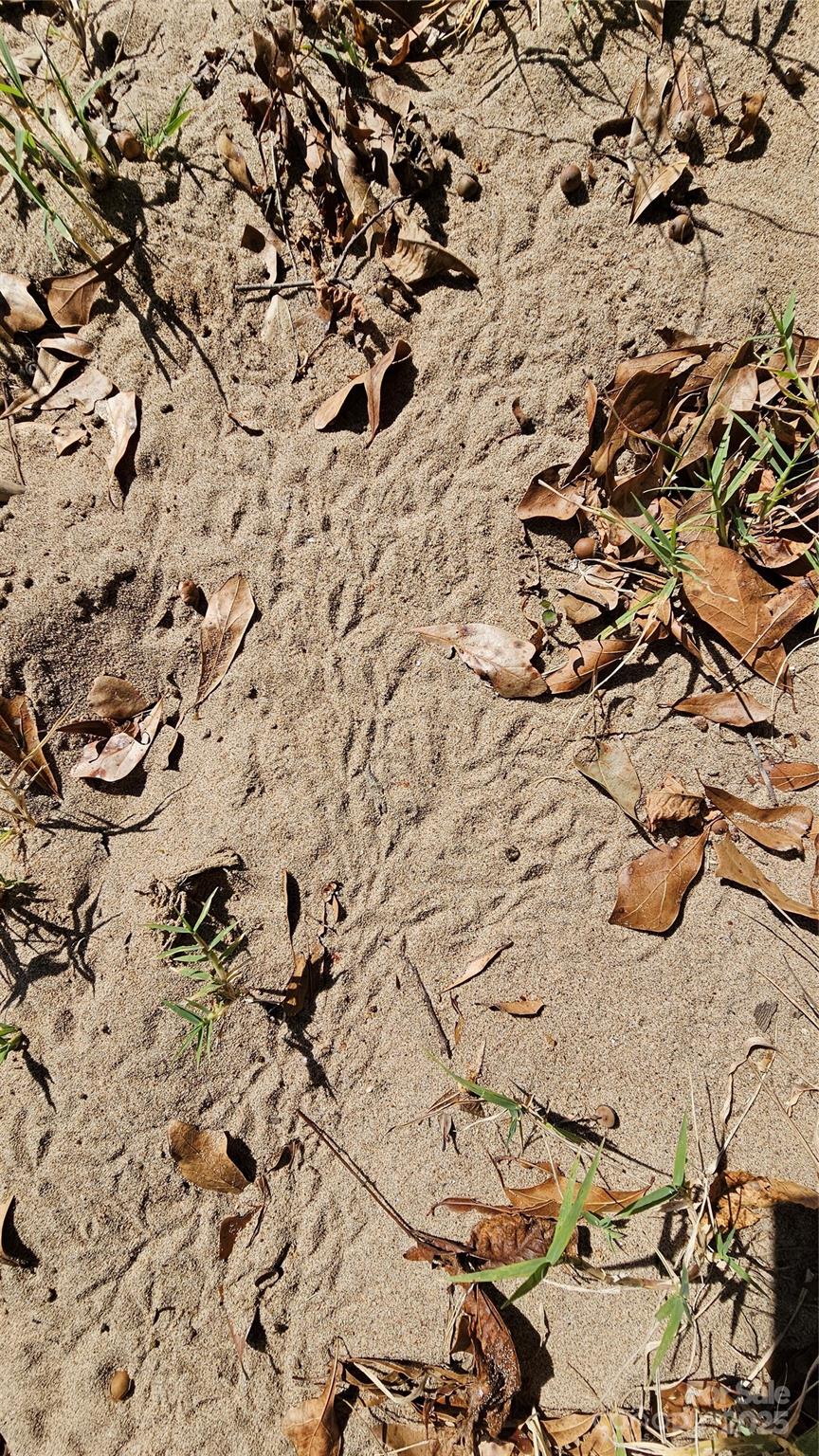 10130 Reed Mine Road Property Photo 18