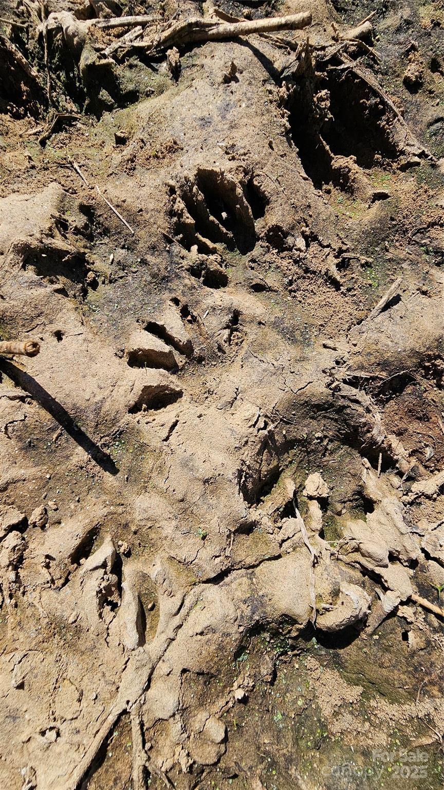 10130 Reed Mine Road Property Photo 19