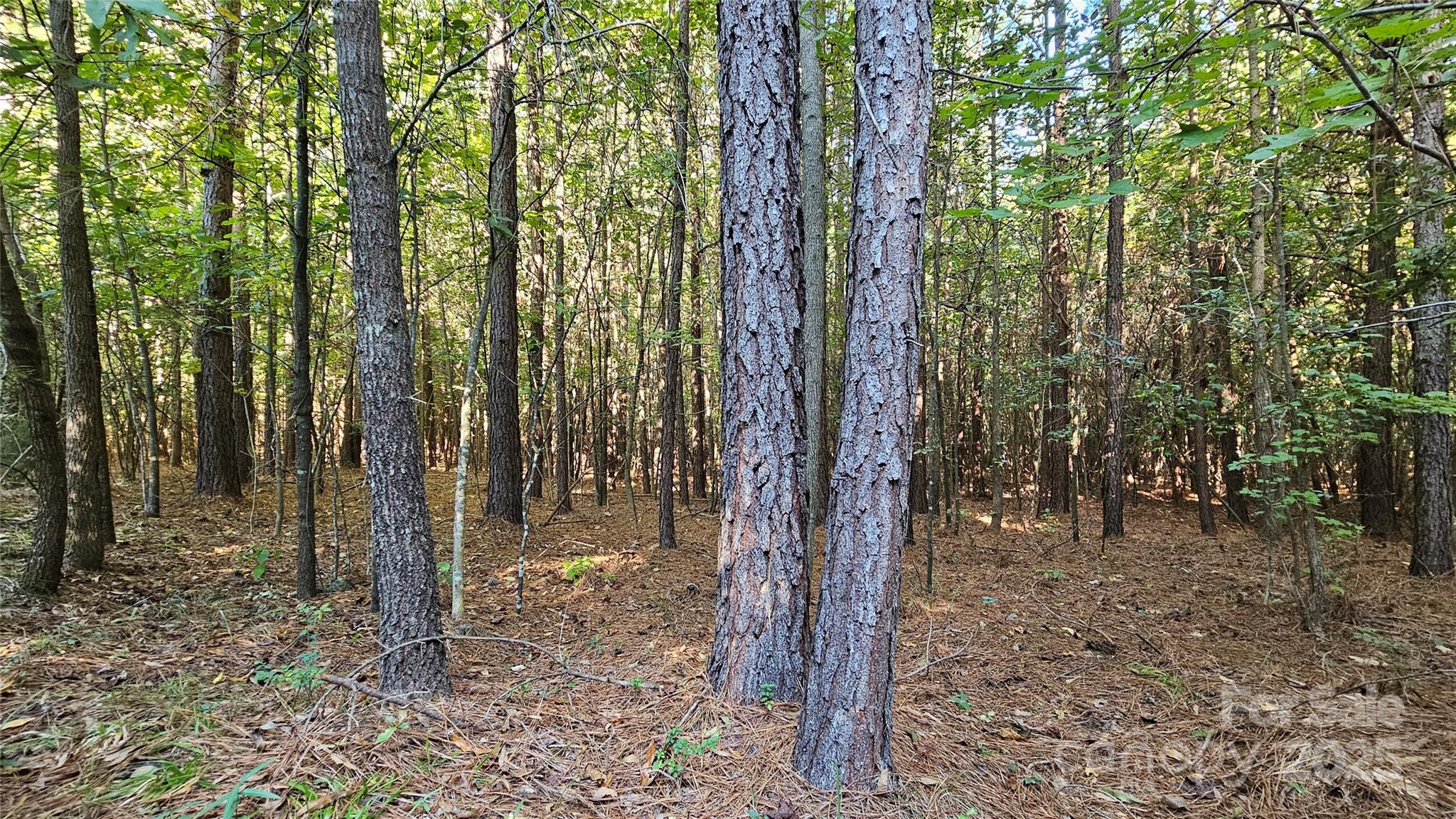10130 Reed Mine Road Property Photo 22