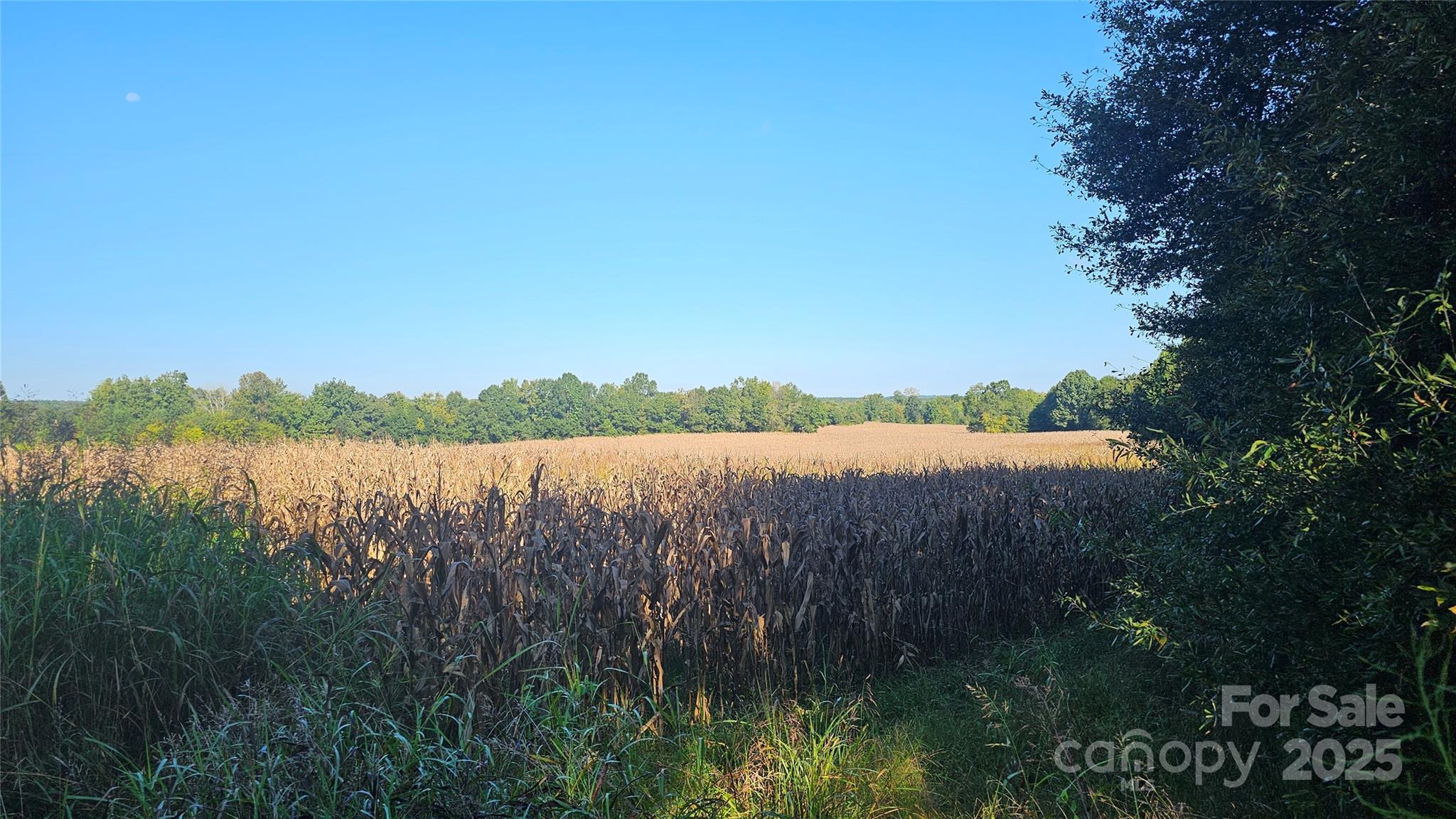 10130 Reed Mine Road Property Photo 23