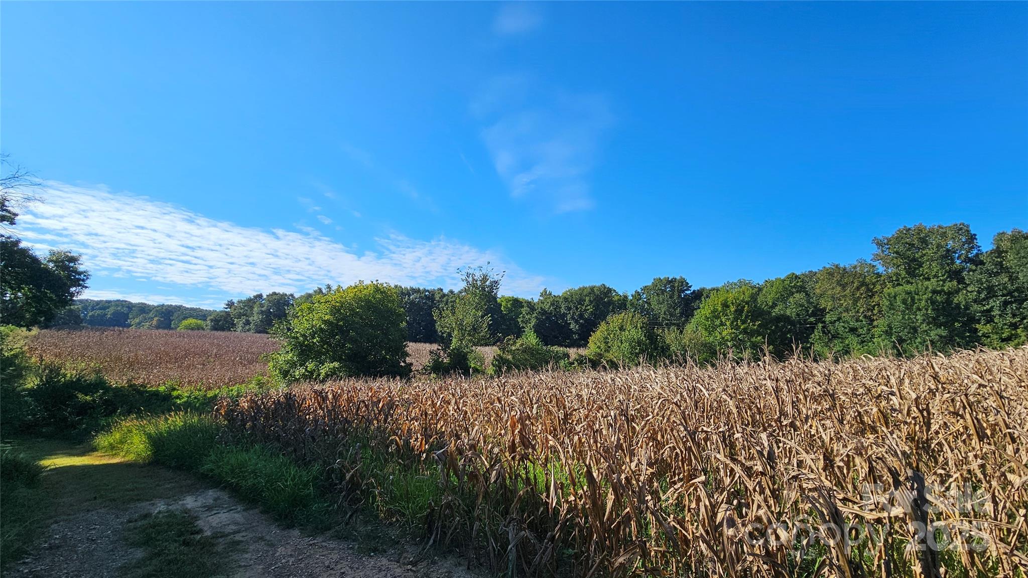 10130 Reed Mine Road Property Photo 24