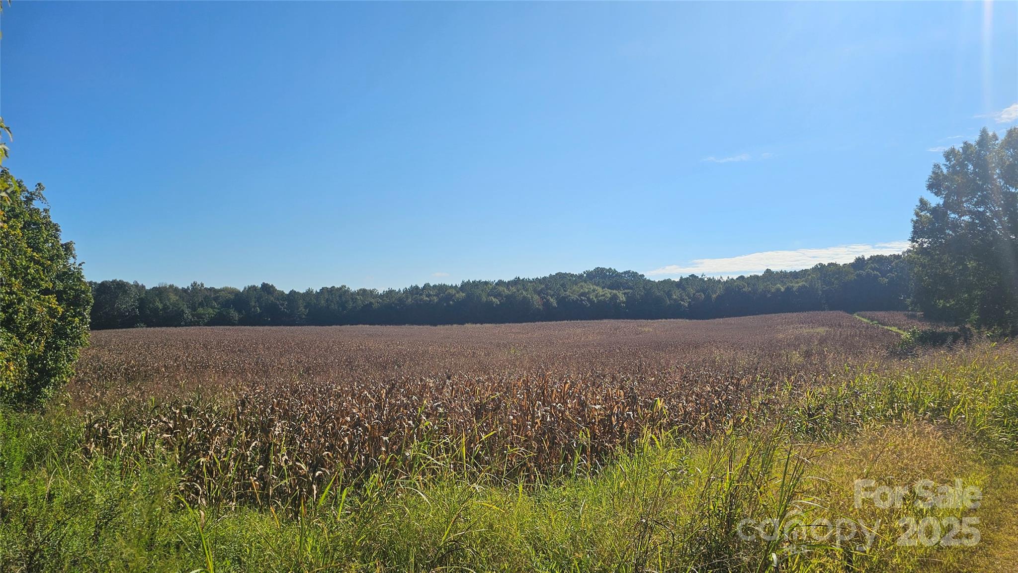 10130 Reed Mine Road Property Photo 25