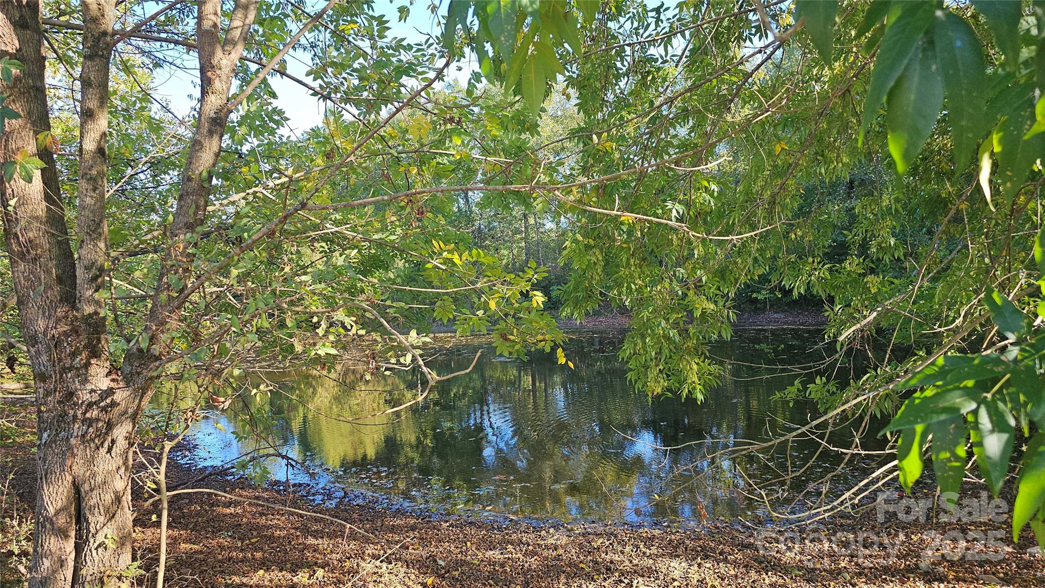 10130 Reed Mine Road Property Photo 27