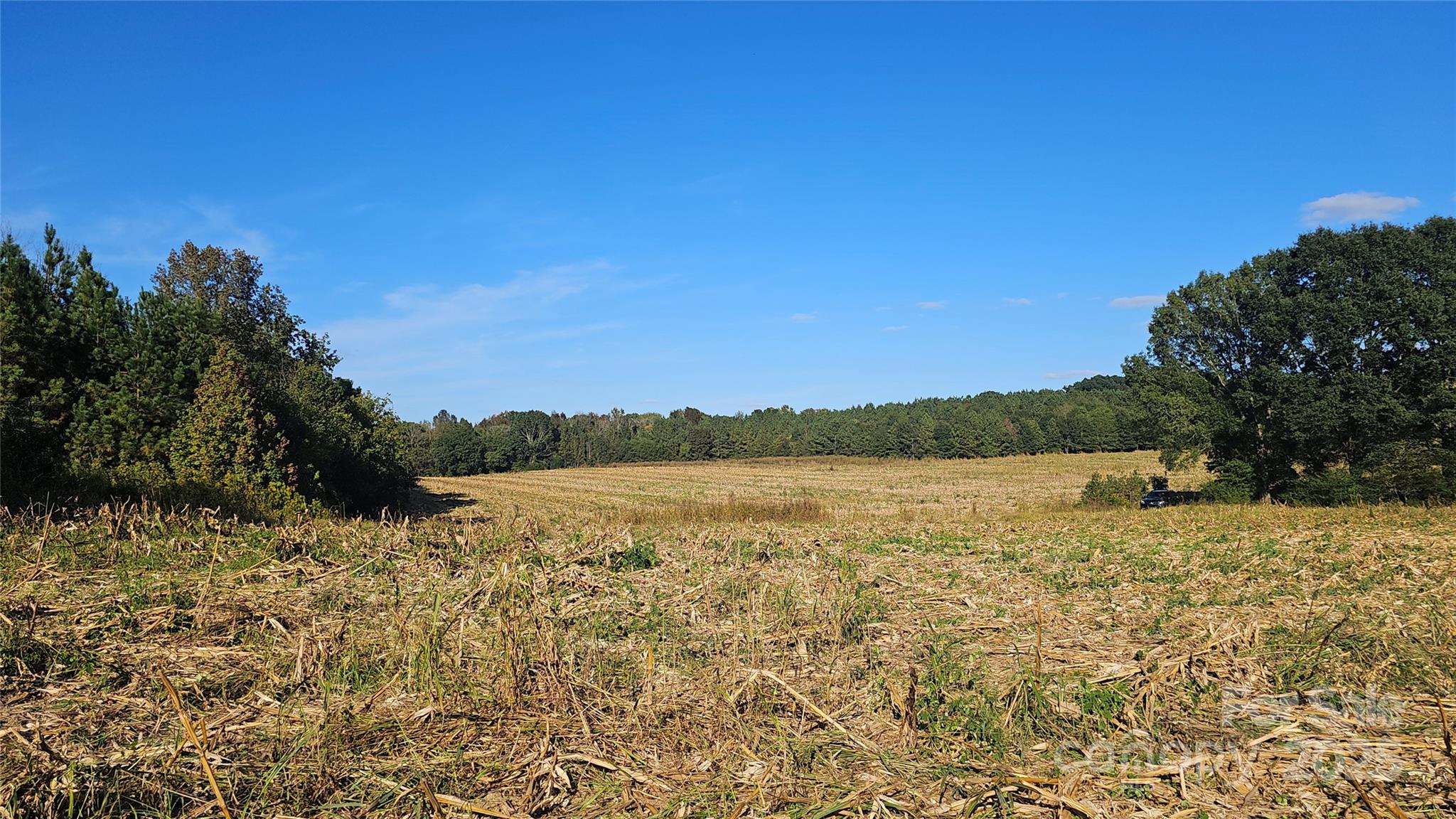 10130 Reed Mine Road Property Photo 28