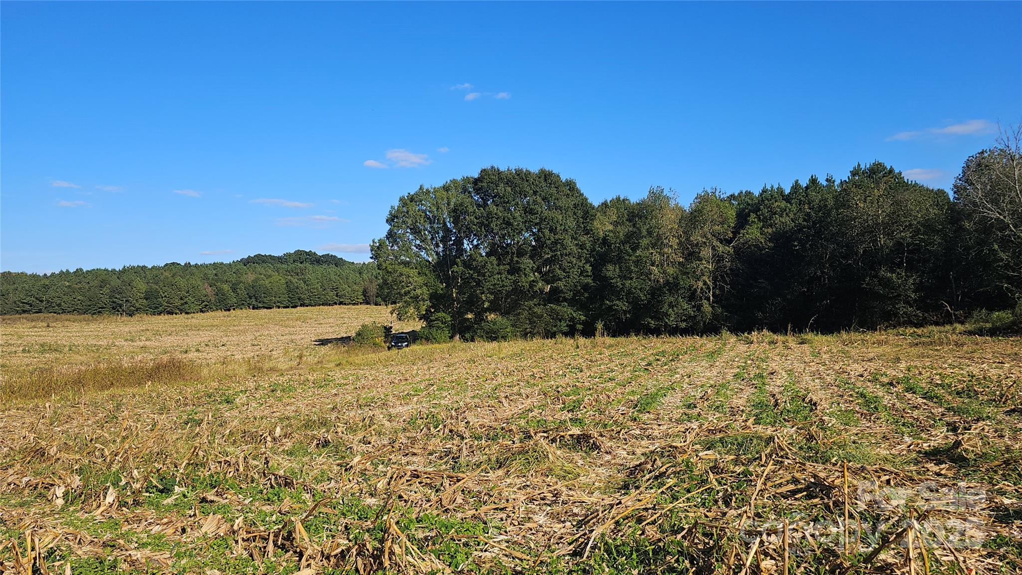 10130 Reed Mine Road Property Photo 29
