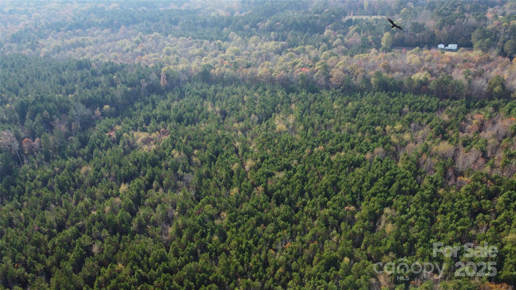 2351 Reges Store Road Property Photo 9