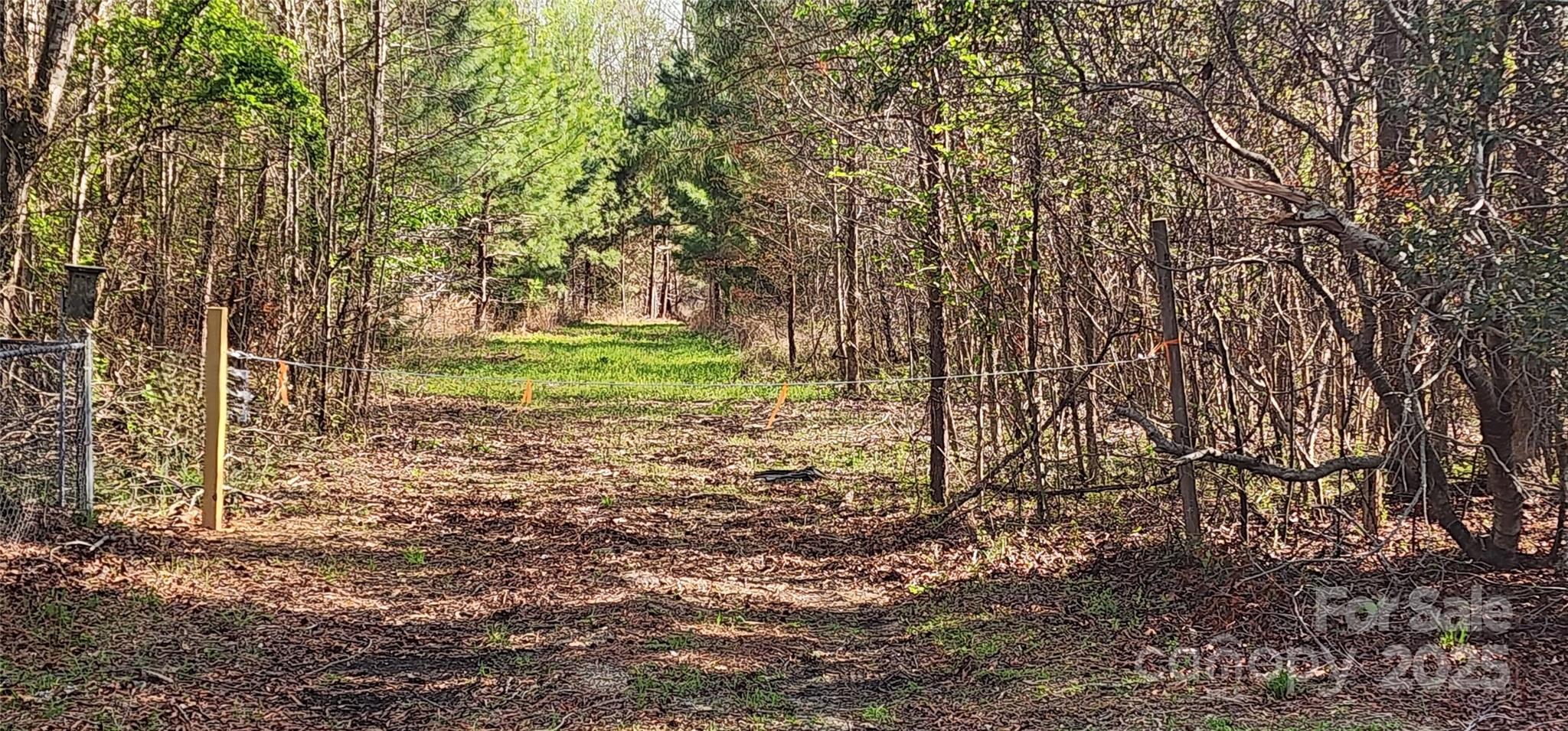 2351 Reges Store Road Property Photo 13