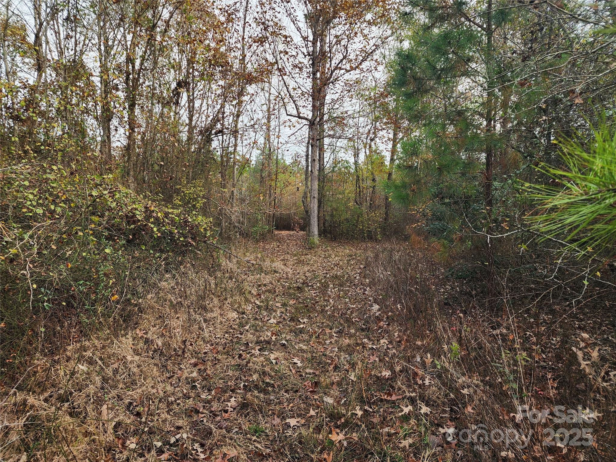 2351 Reges Store Road Property Photo 20