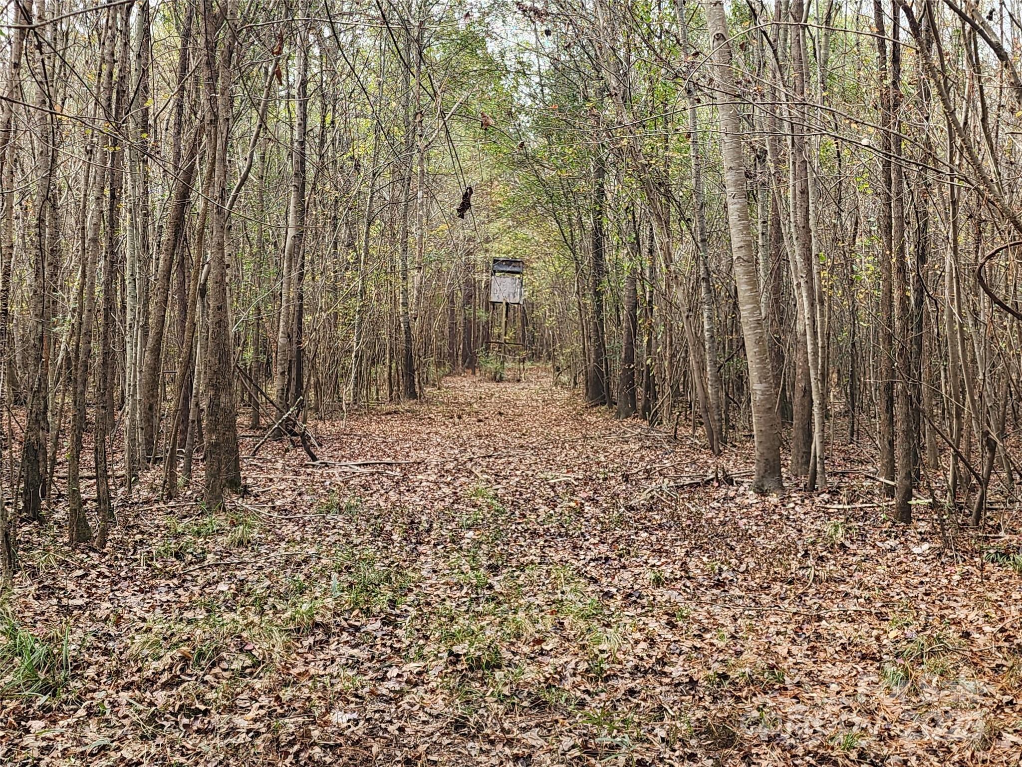 2351 Reges Store Road Property Photo 23