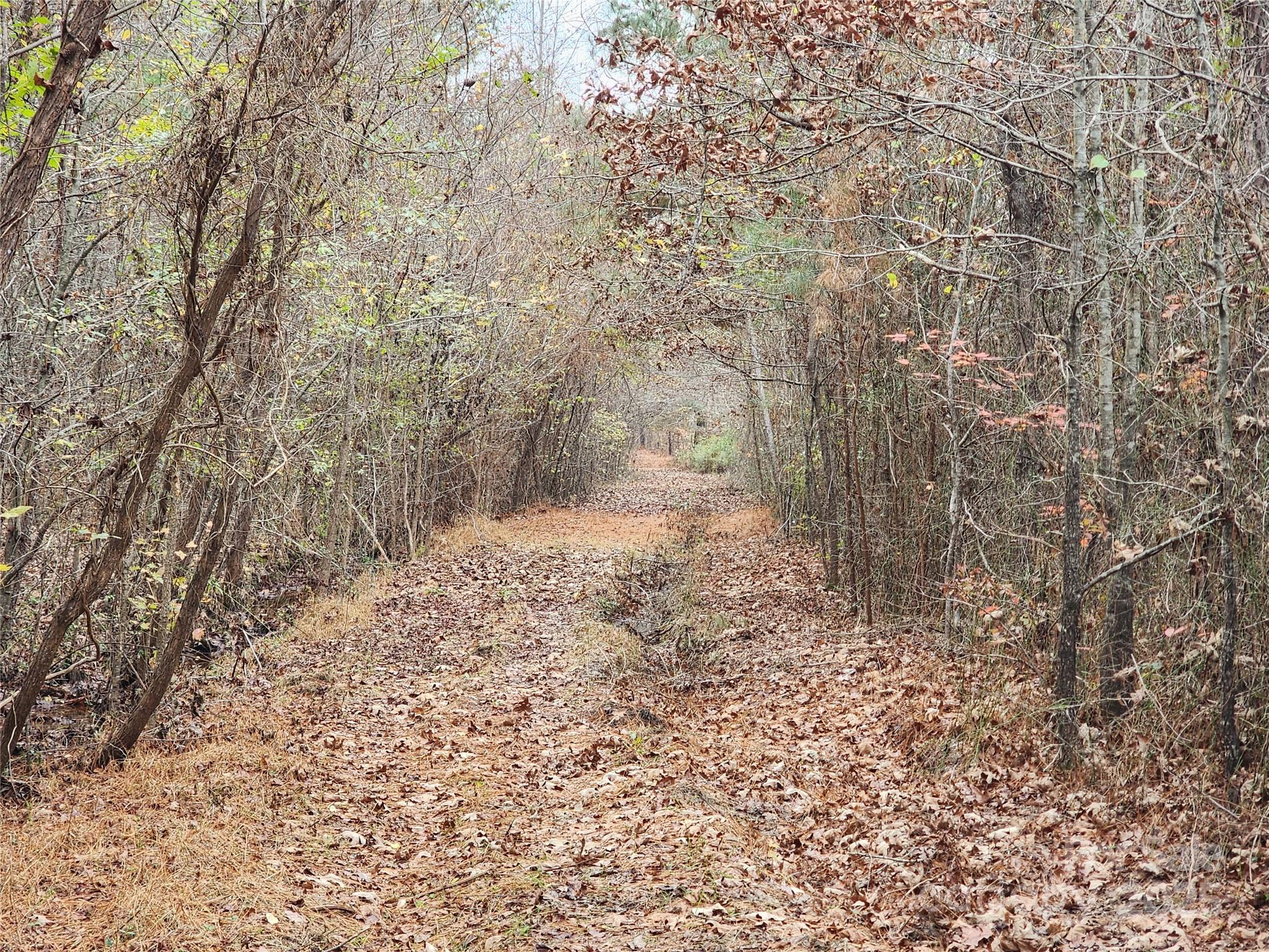 2351 Reges Store Road Property Photo 25