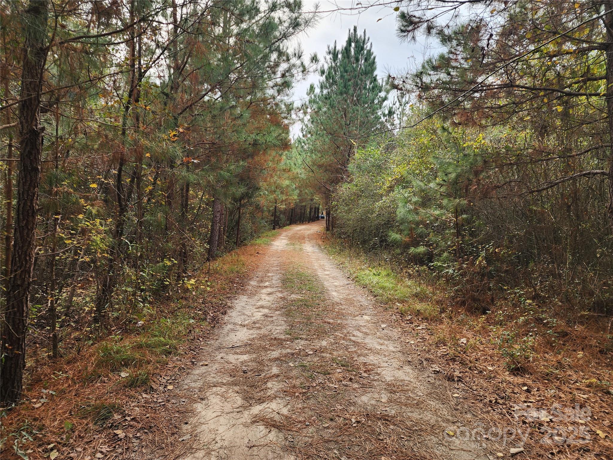 2351 Reges Store Road Property Photo 36