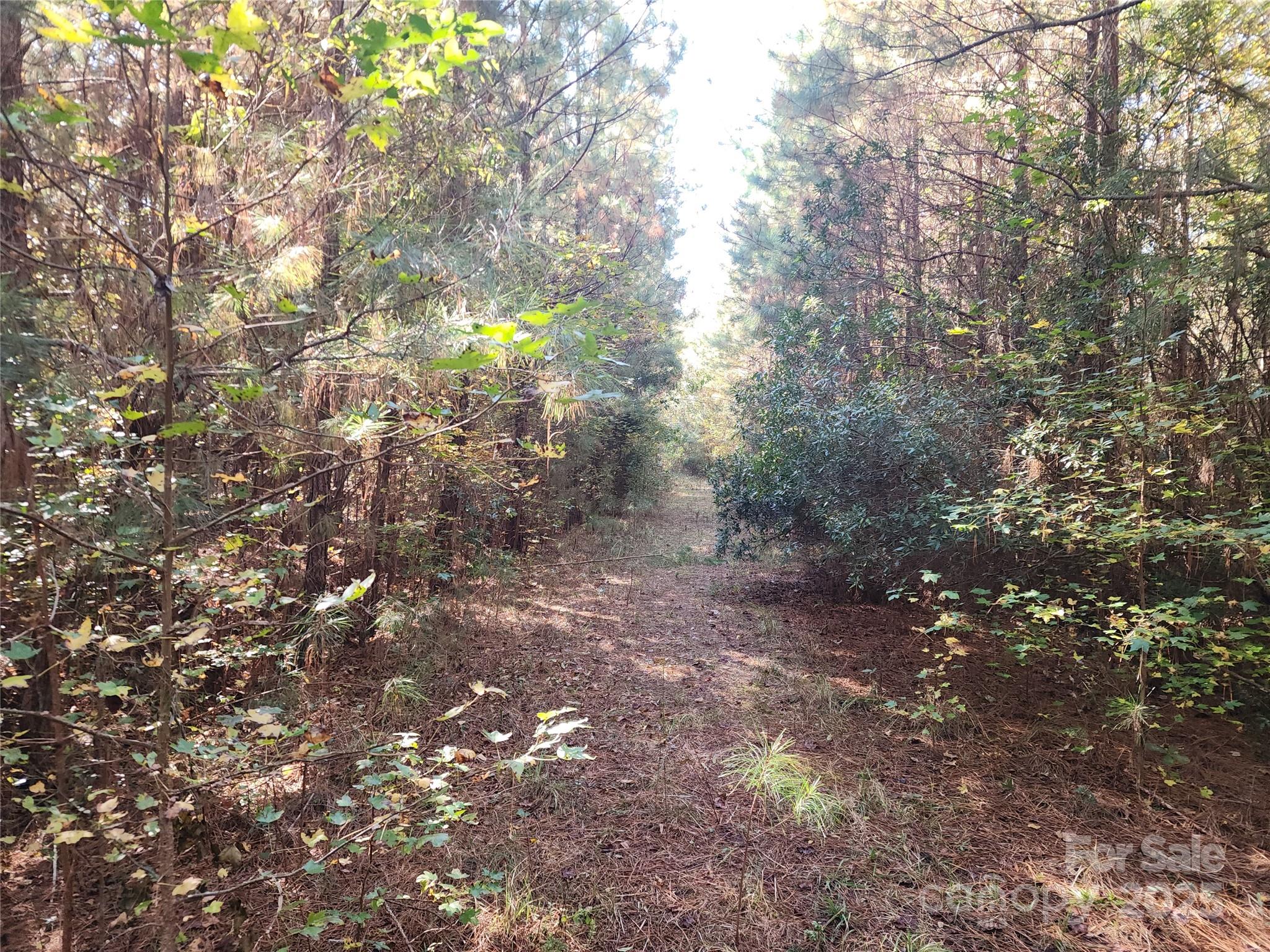 2351 Reges Store Road Property Photo 41