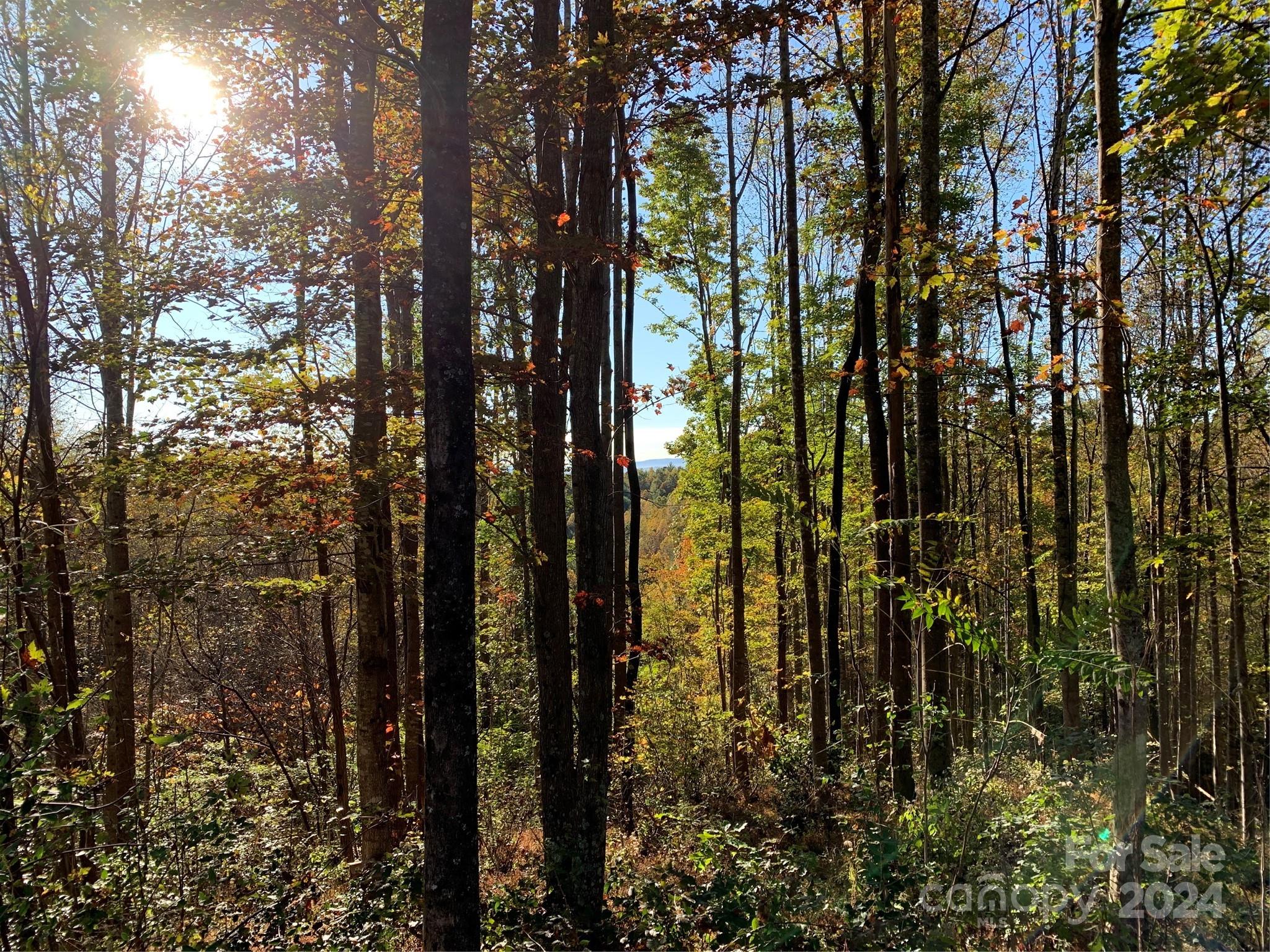 1483 Round Mountain Parkway 59 Property Photo 1