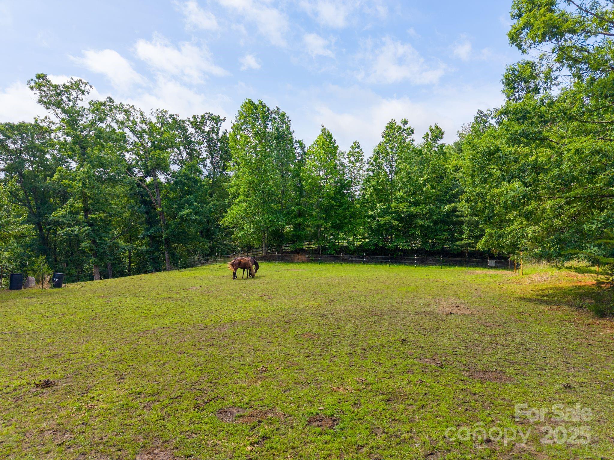 777 S River Road Property Photo 25