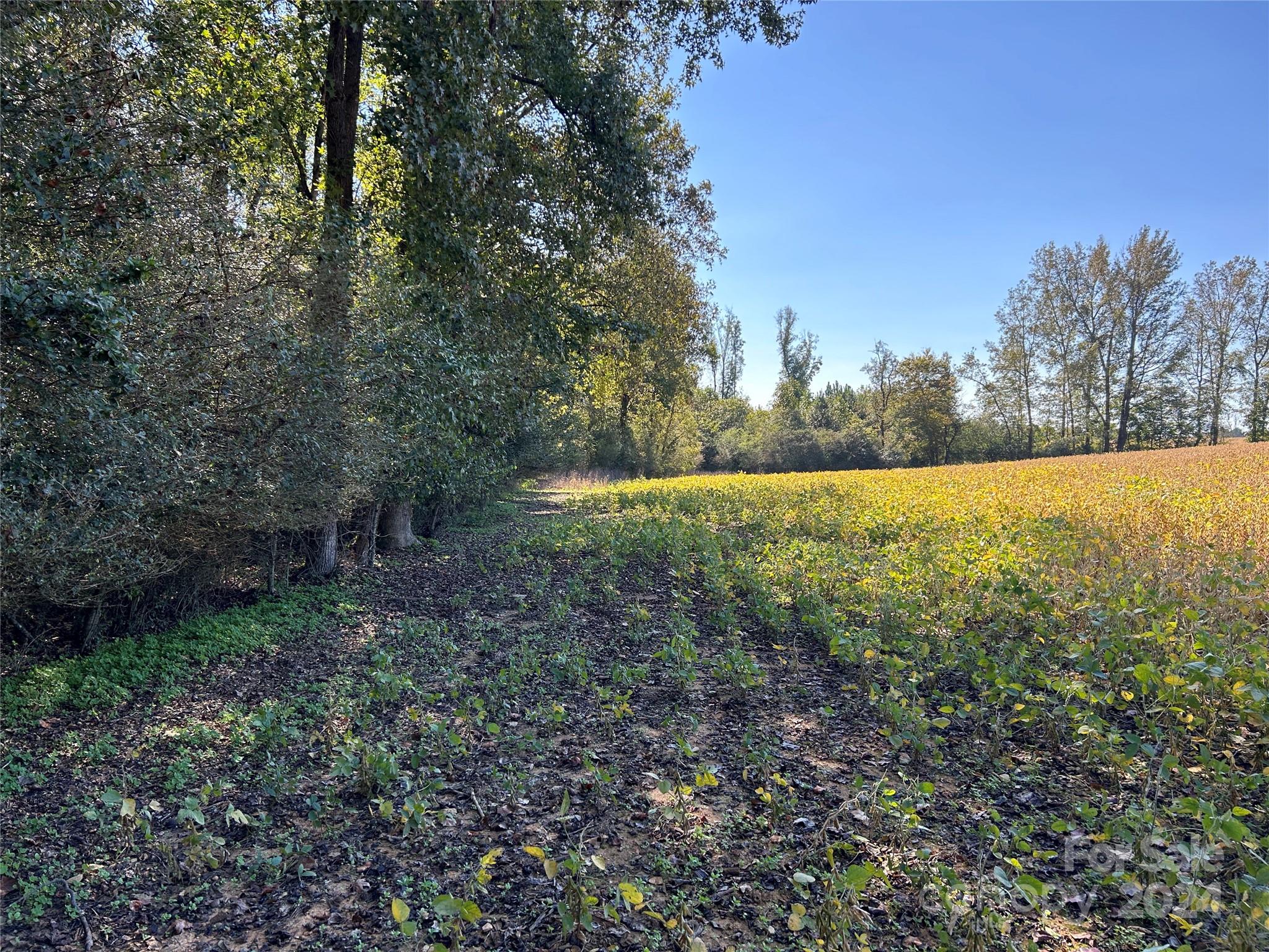 03 Ramsey Road Property Photo